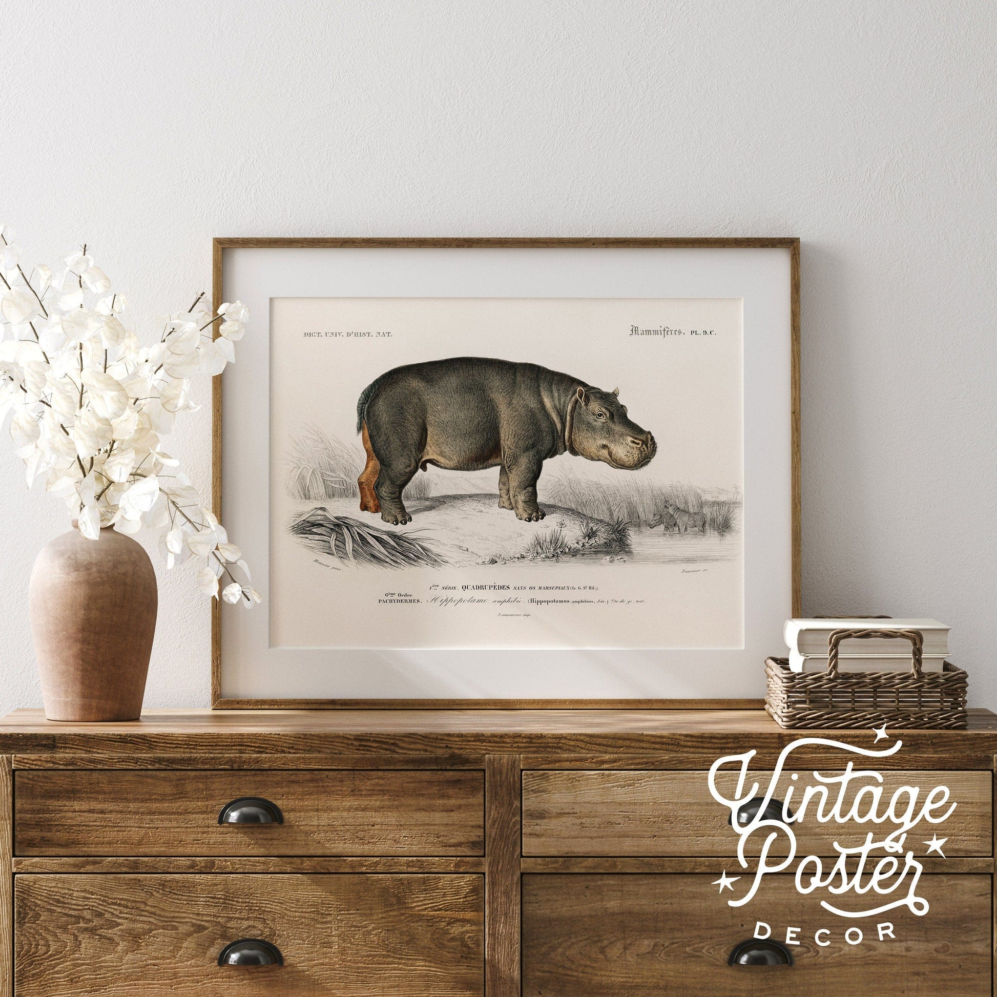 Hippopotamus Print Vintage Animal Safari Animal Hippo Vintage Nursery Animal Wall Art, High Quality Paper, up to 24"x36"