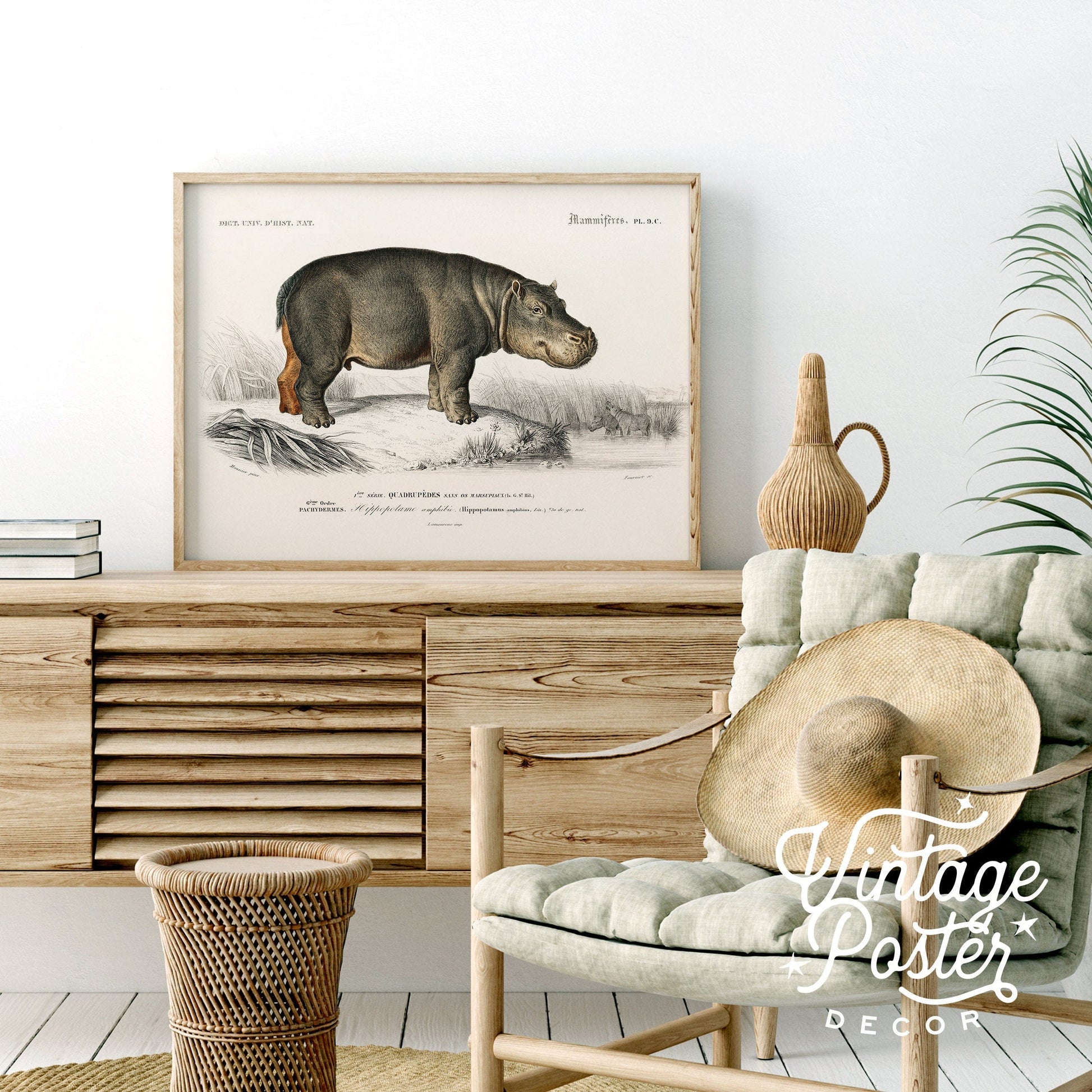 Hippopotamus Print Vintage Animal Safari Animal Hippo Vintage Nursery Animal Wall Art, High Quality Paper, up to 24"x36"