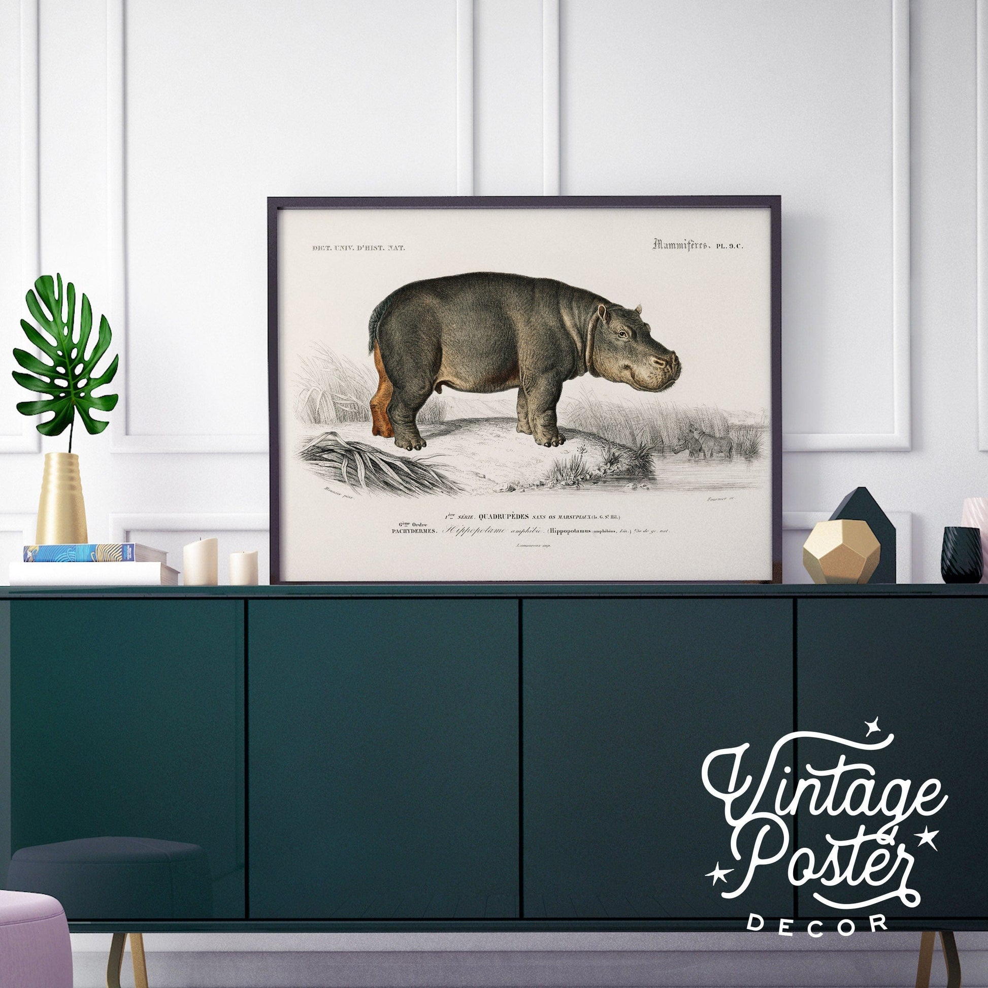 Hippopotamus Print Vintage Animal Safari Animal Hippo Vintage Nursery Animal Wall Art, High Quality Paper, up to 24"x36"