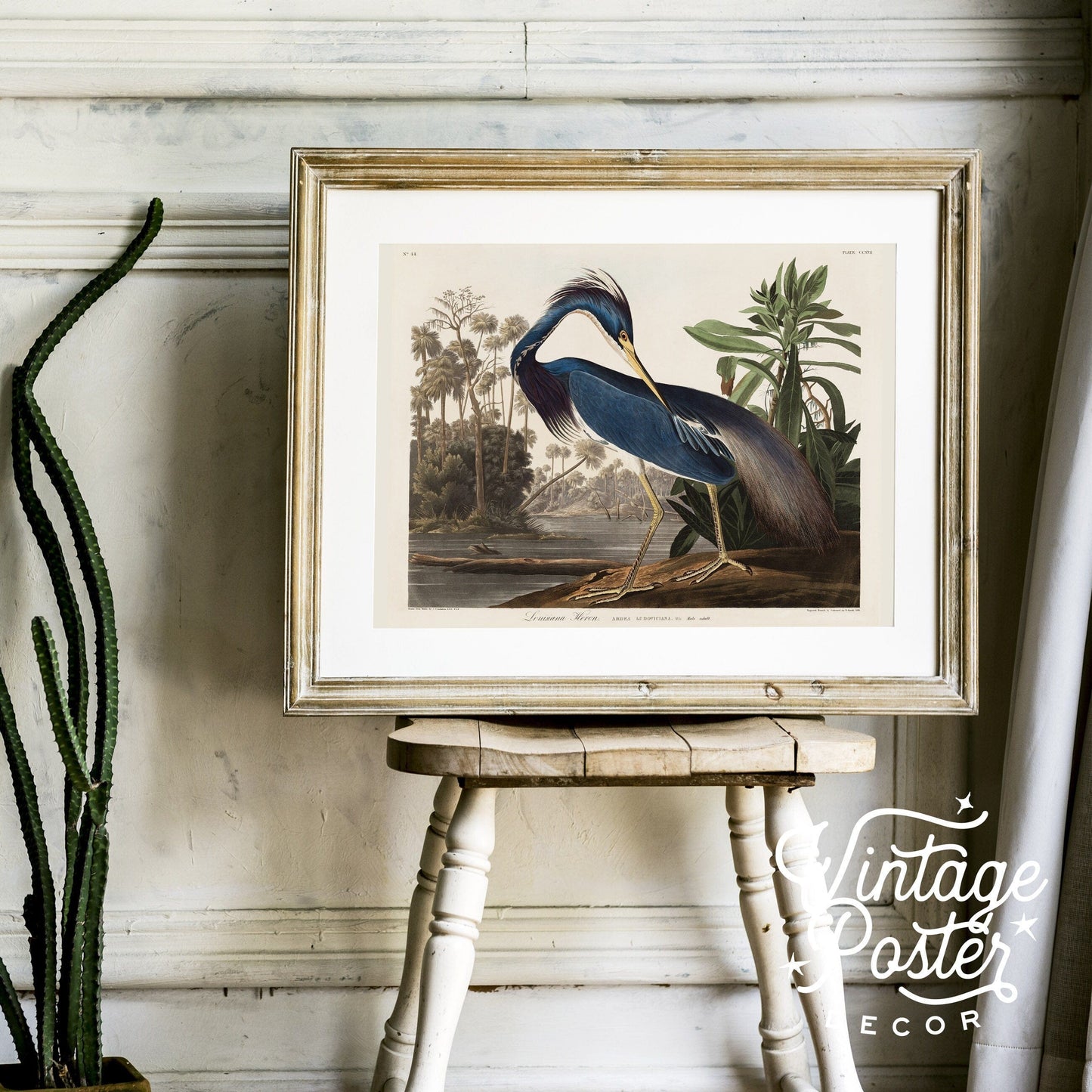 John James Audubon, Birds of America Series, Fine Art Print