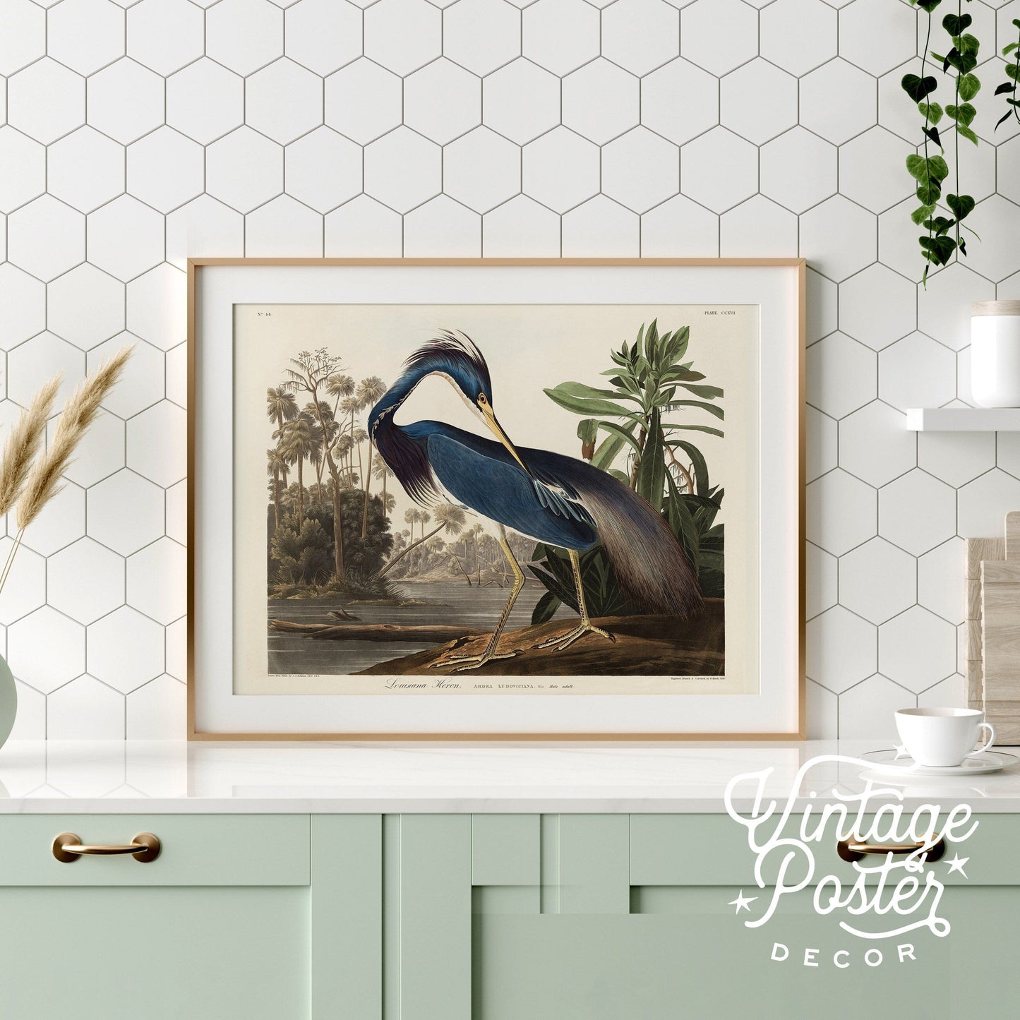 John James Audubon, Birds of America Series, Fine Art Print