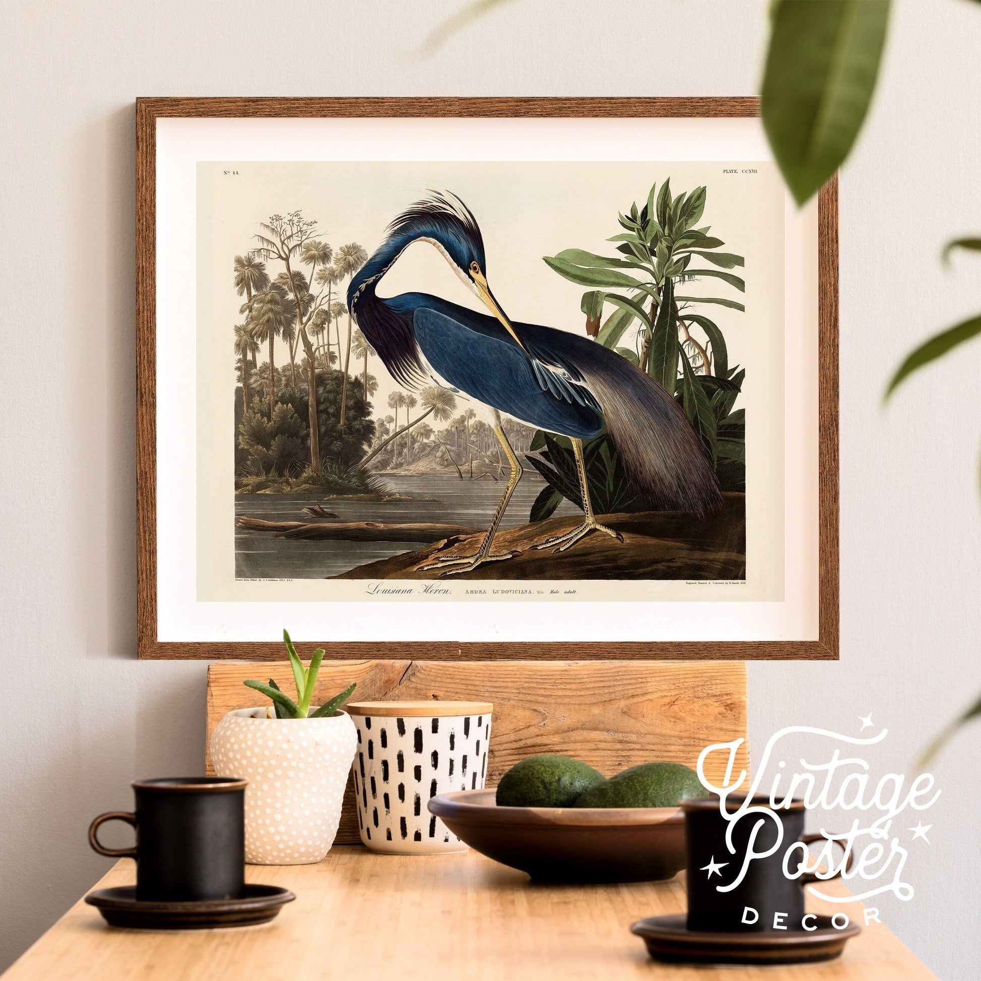 John James Audubon, Birds of America Series, Fine Art Print