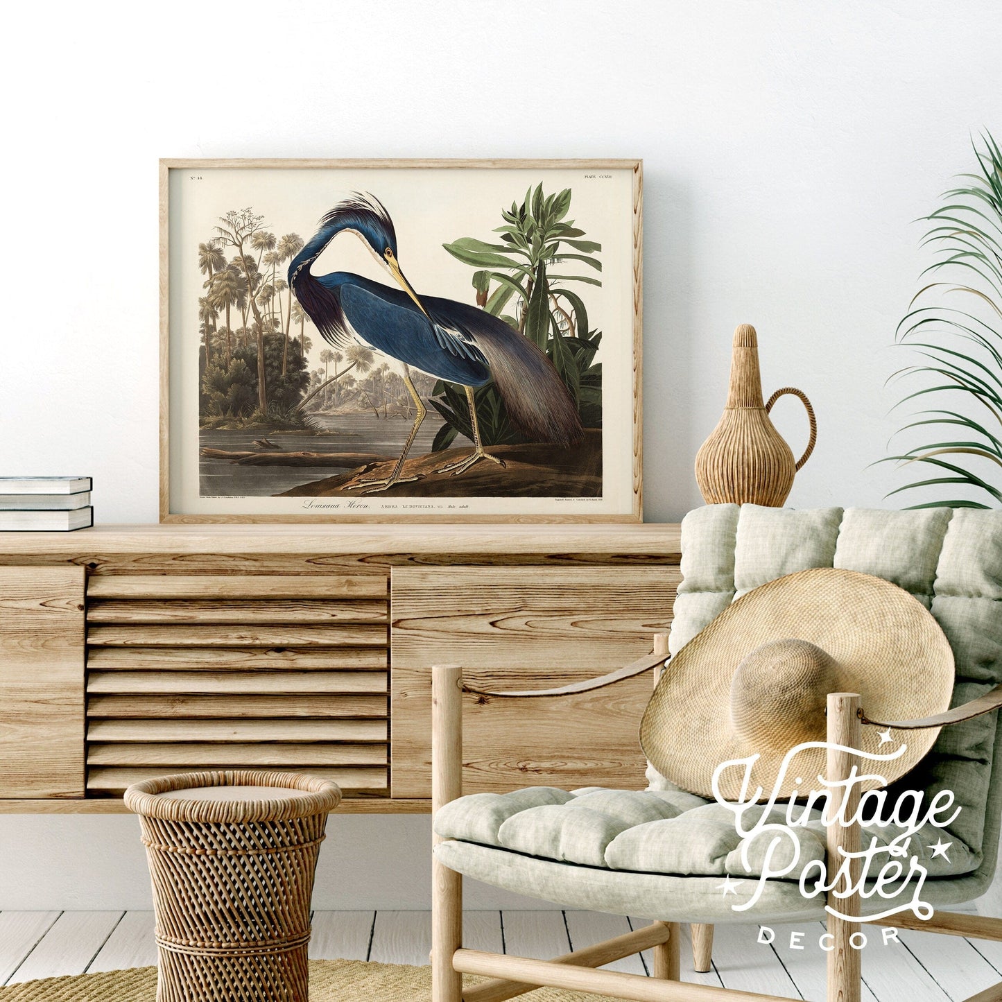 John James Audubon, Birds of America Series, Fine Art Print