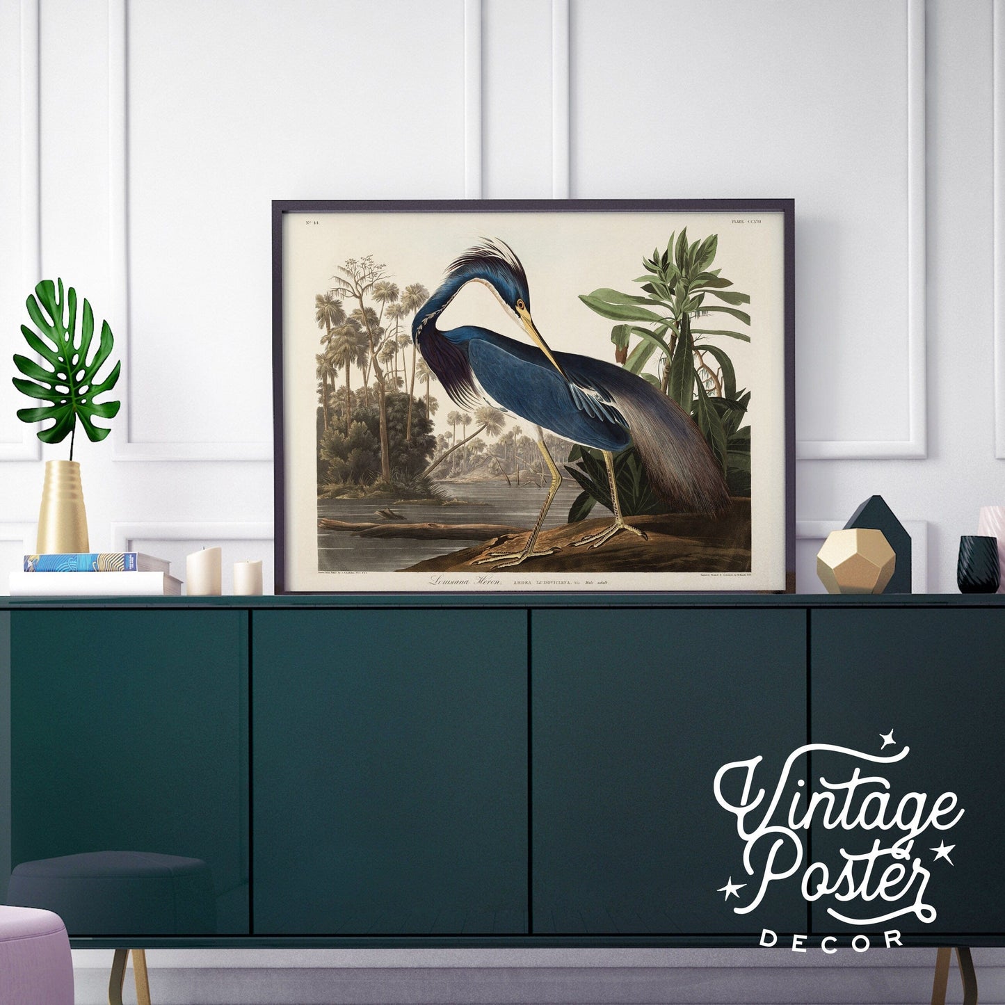 John James Audubon, Birds of America Series, Fine Art Print