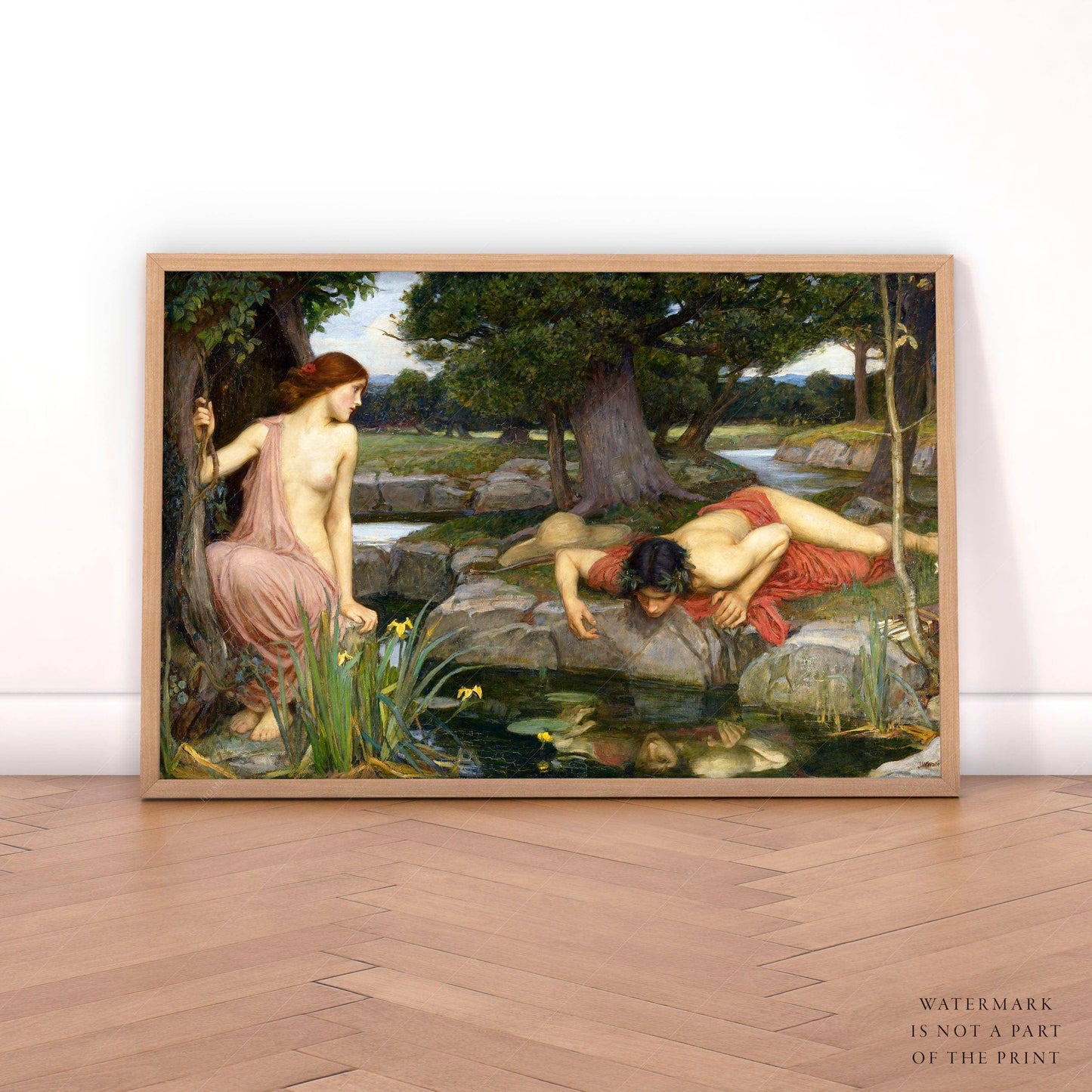 John William Waterhouse, Echo and Narcissus, Fine Art Print