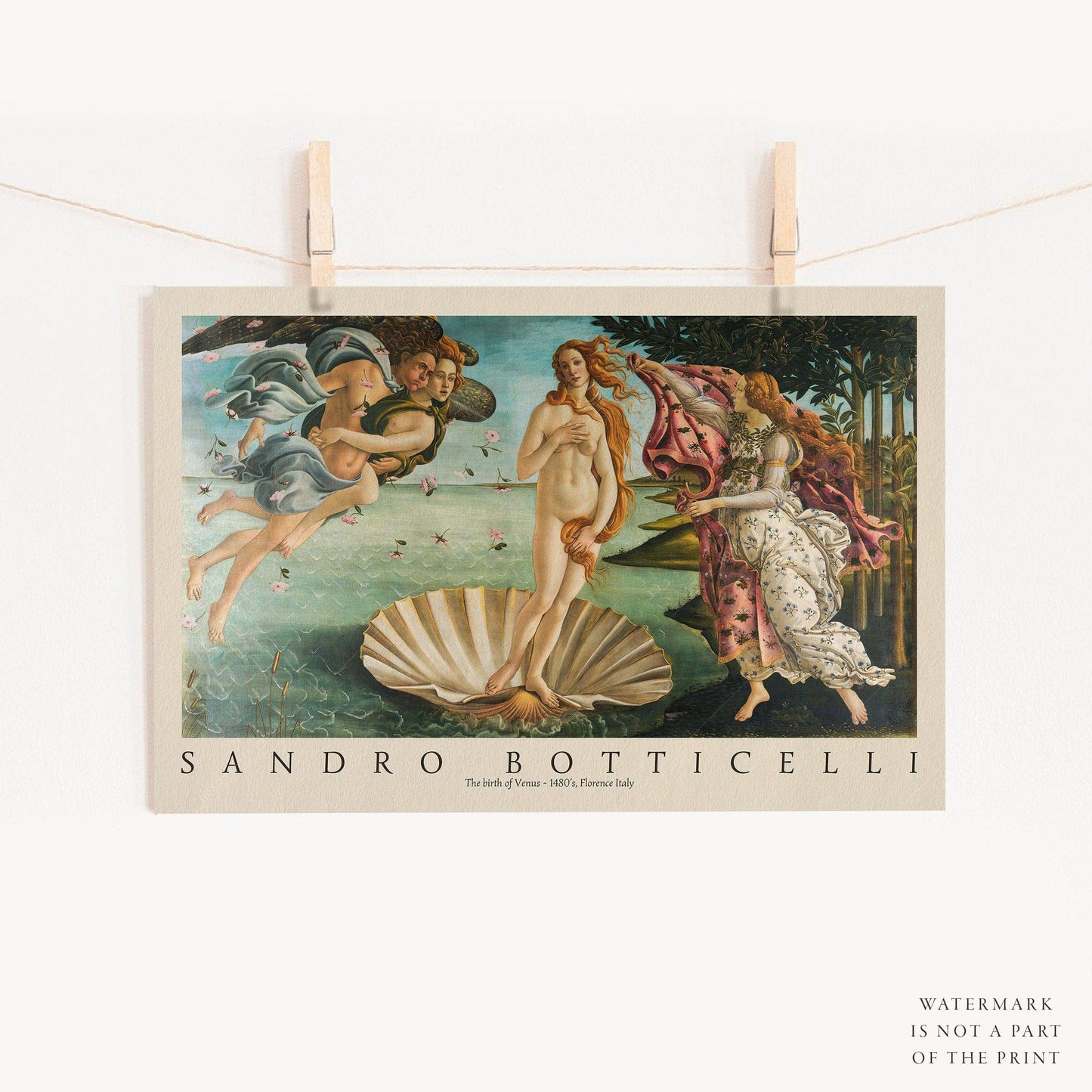 Sandro Botticelli, The Birth of Venus, Fine Art Print