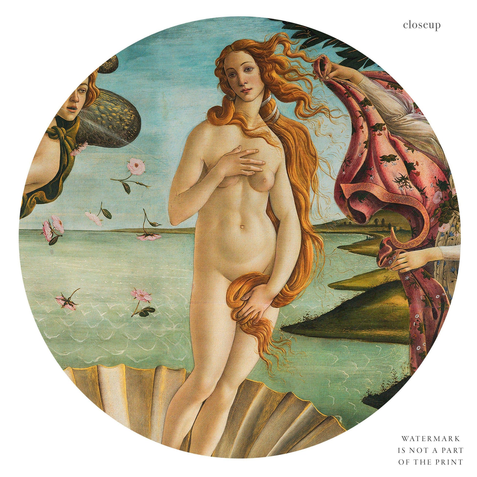 Sandro Botticelli, The Birth of Venus, Fine Art Print