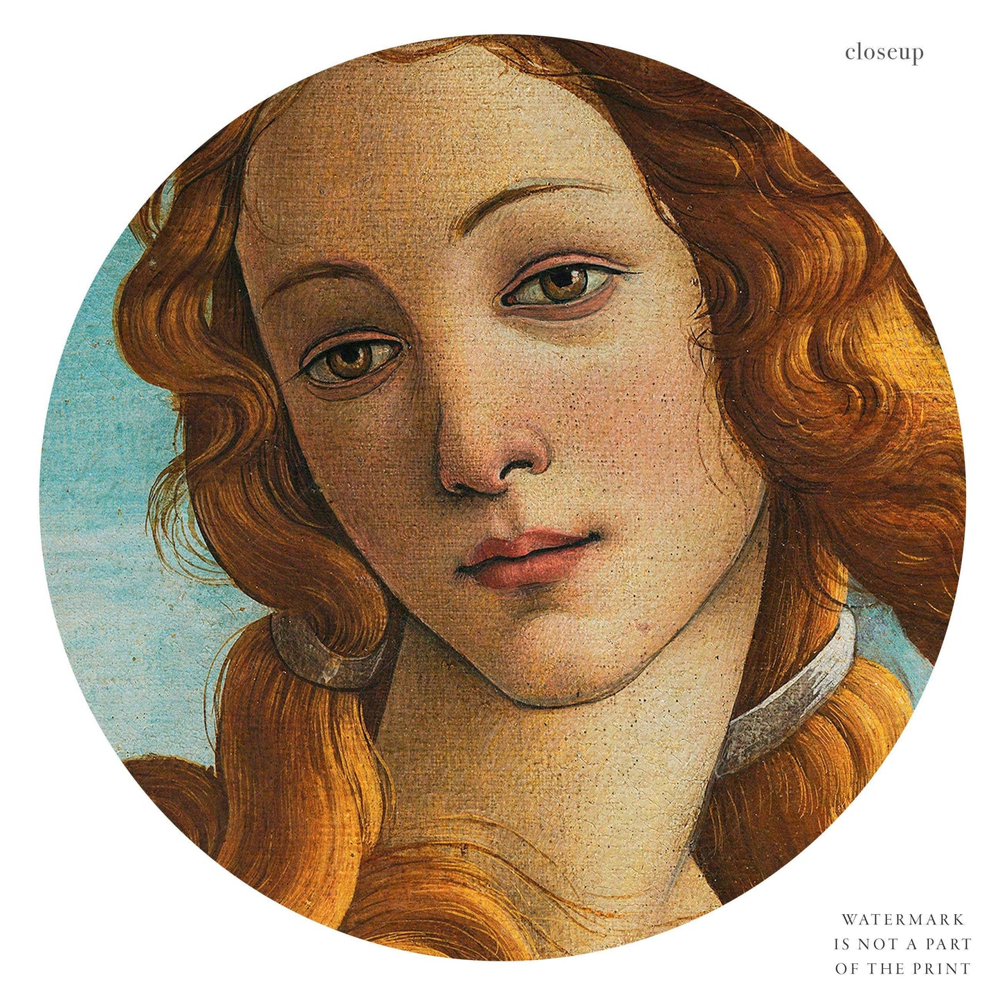 Sandro Botticelli, The Birth of Venus Poster, Fine Art Print