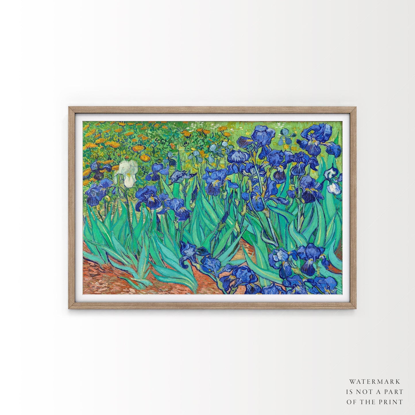 Van Gogh Print, Irises in a Garden