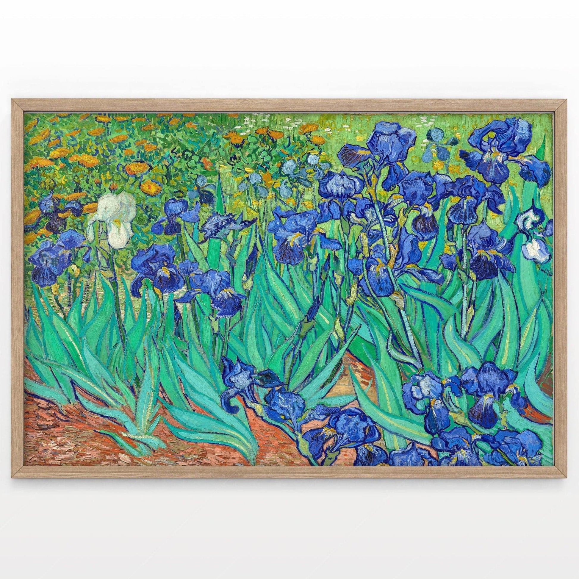 Van Gogh Print, Irises in a Garden