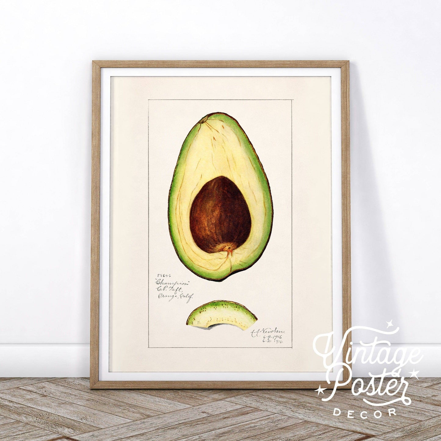 Vintage Avocado Poster, Botanical Fruit, Kitchen Wall Art