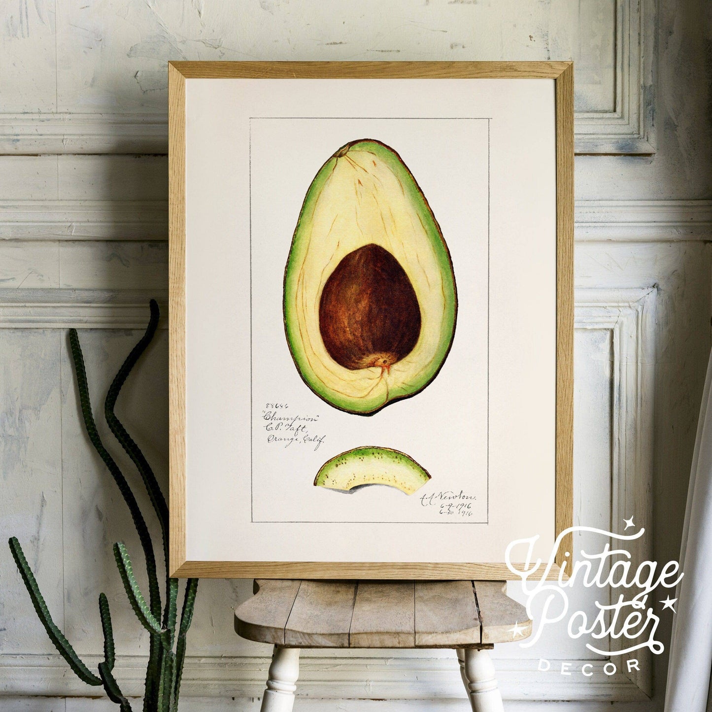 Vintage Avocado Poster, Botanical Fruit, Kitchen Wall Art