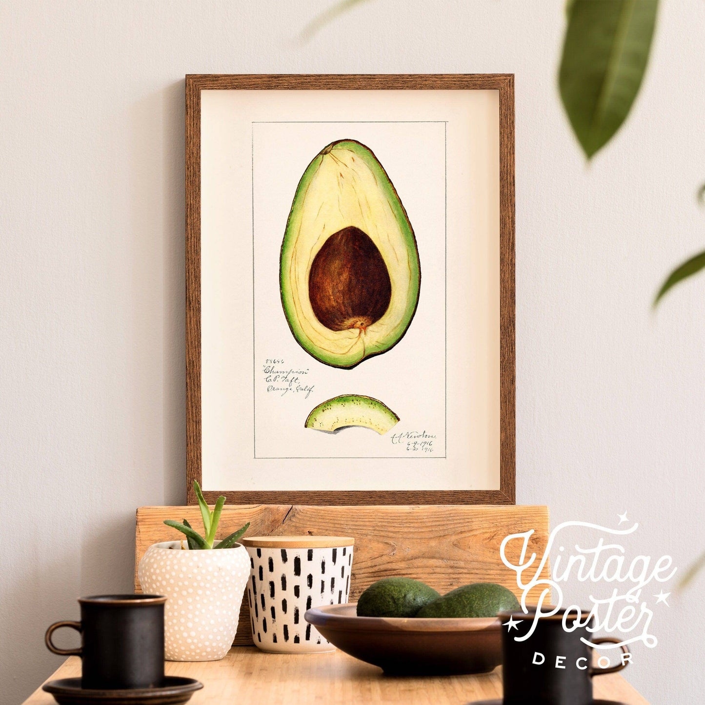 Vintage Avocado Poster, Botanical Fruit, Kitchen Wall Art