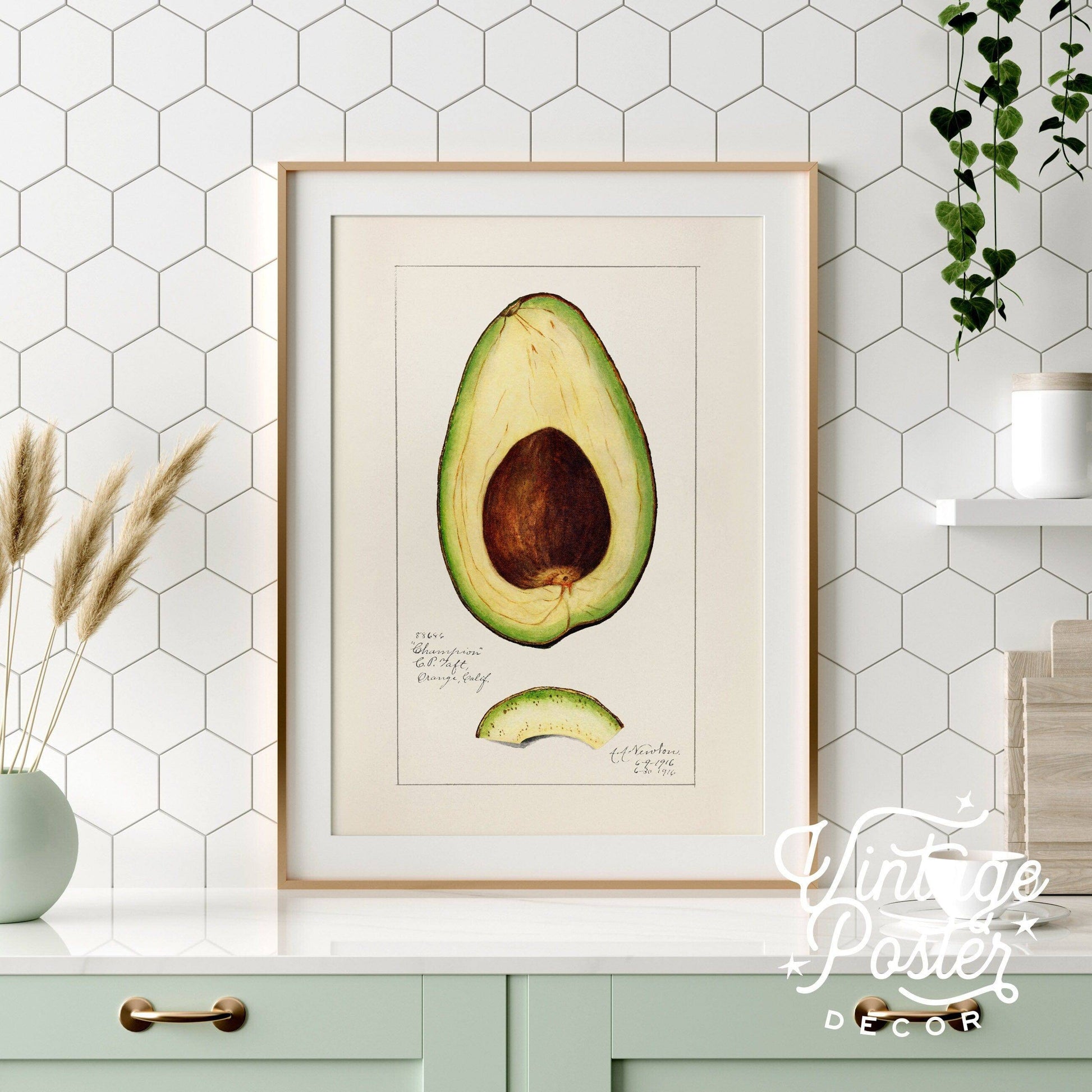 Vintage Avocado Poster, Botanical Fruit, Kitchen Wall Art