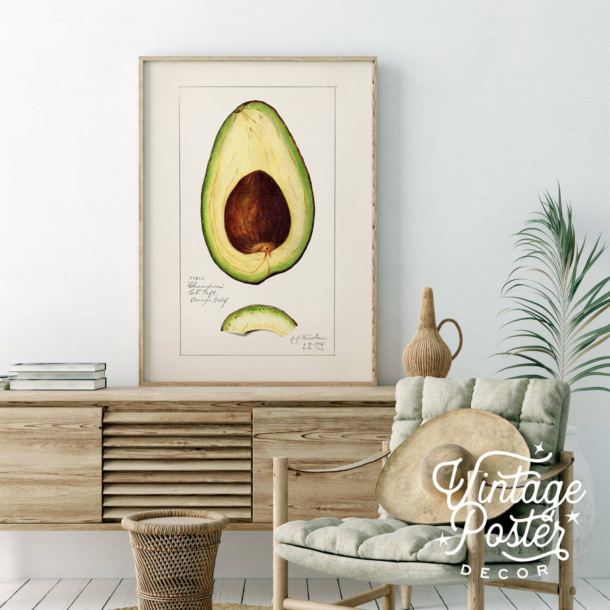 Vintage Avocado Poster, Botanical Fruit, Kitchen Wall Art