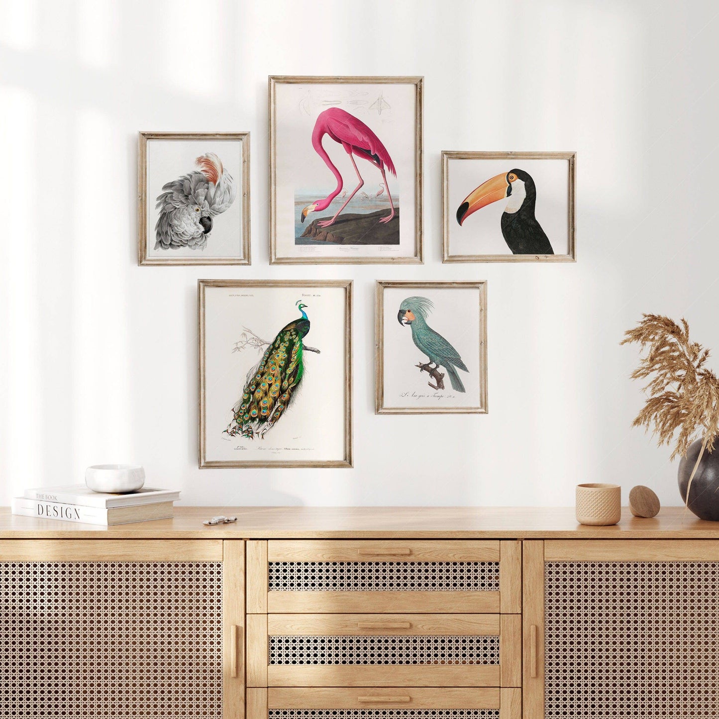 Vintage Bird Gallery Wall, Pink Flamingo, Peacock, Cockatoo, Toucan and Parrot Birds