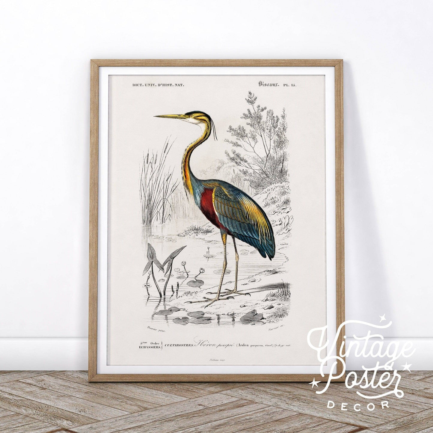 Vintage Bird Wall Art, Heron Print, Birds of America Poster