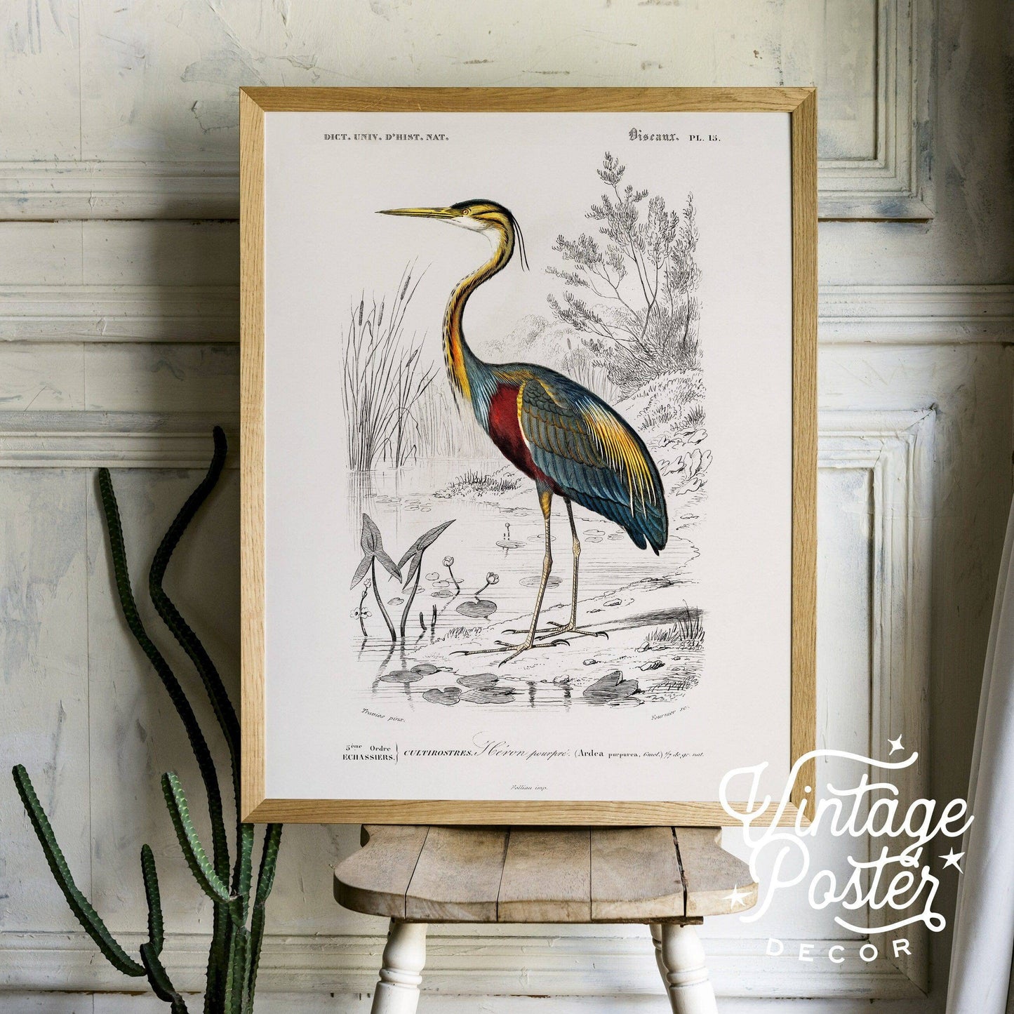 Vintage Bird Wall Art, Heron Print, Birds of America Poster