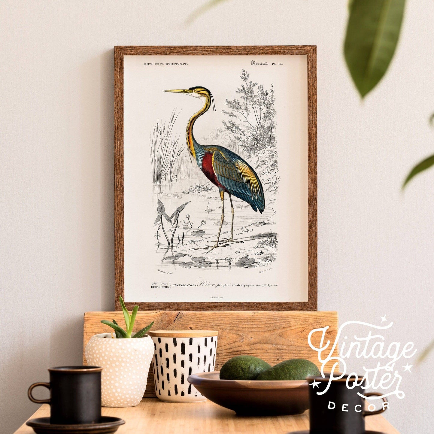 Vintage Bird Wall Art, Heron Print, Birds of America Poster