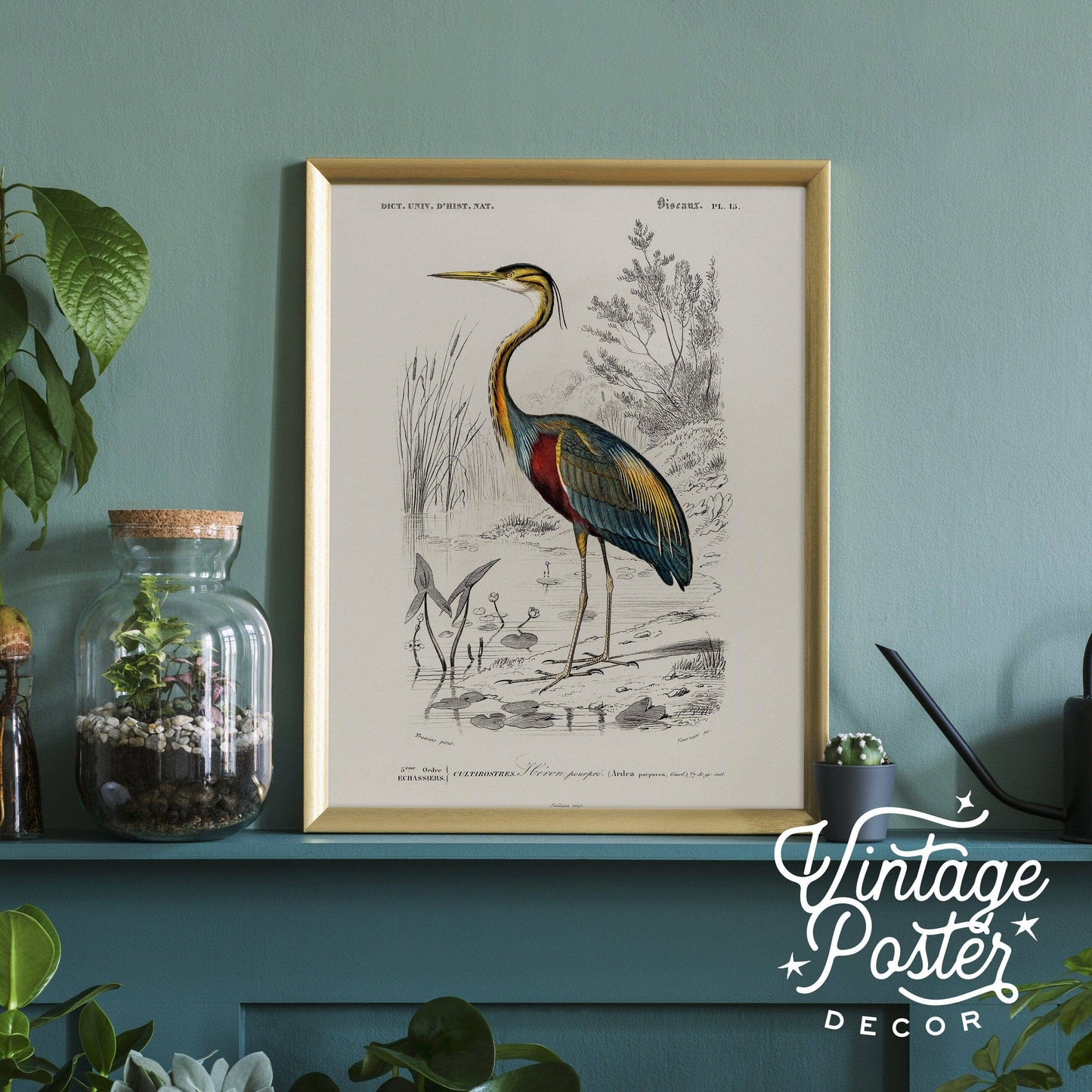 Vintage Bird Wall Art, Heron Print, Birds of America Poster