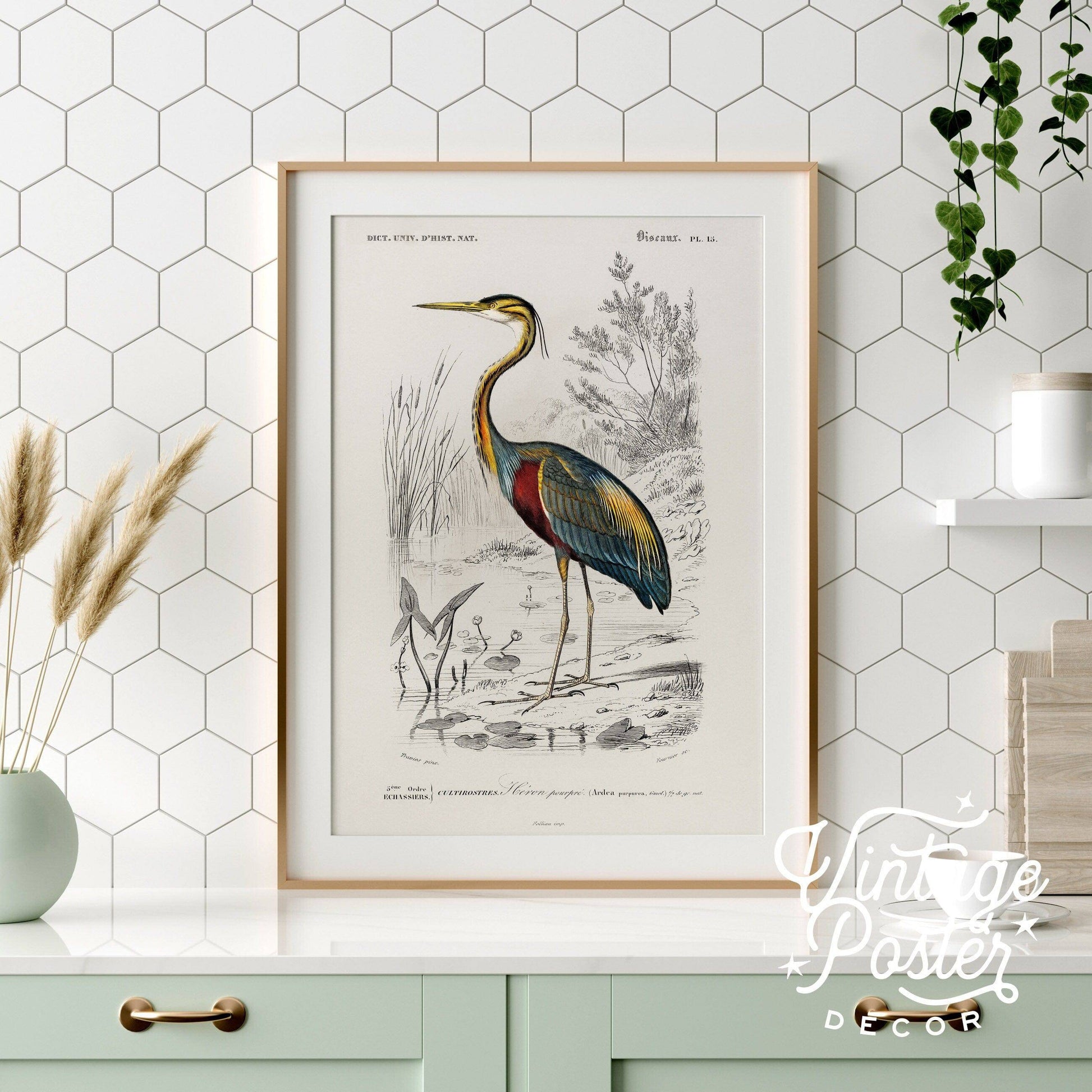 Vintage Bird Wall Art, Heron Print, Birds of America Poster