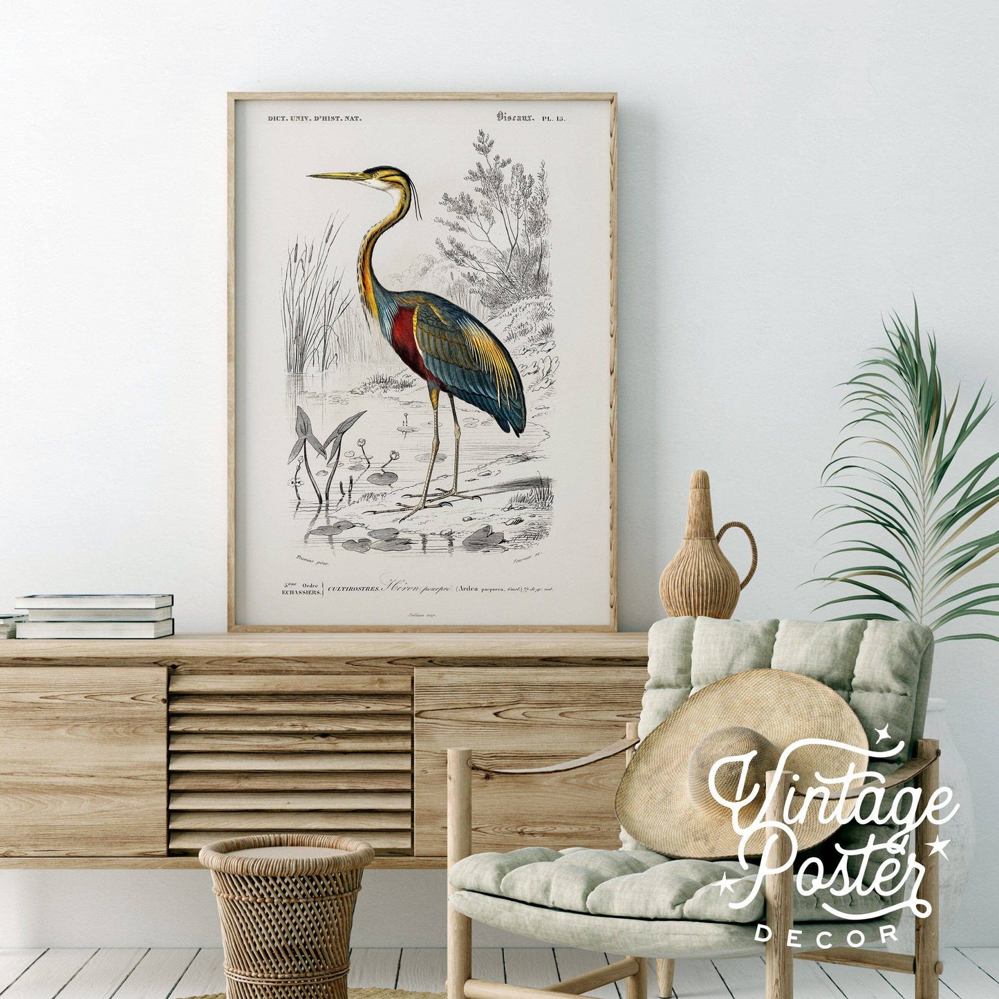 Vintage Bird Wall Art, Heron Print, Birds of America Poster