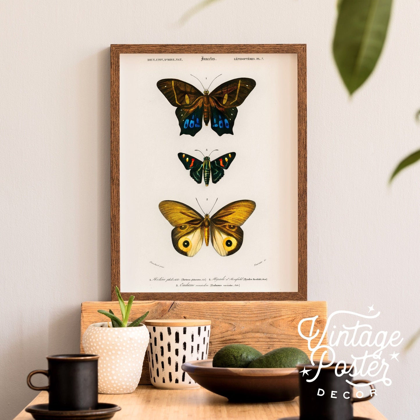 Vintage Butterfly Poster