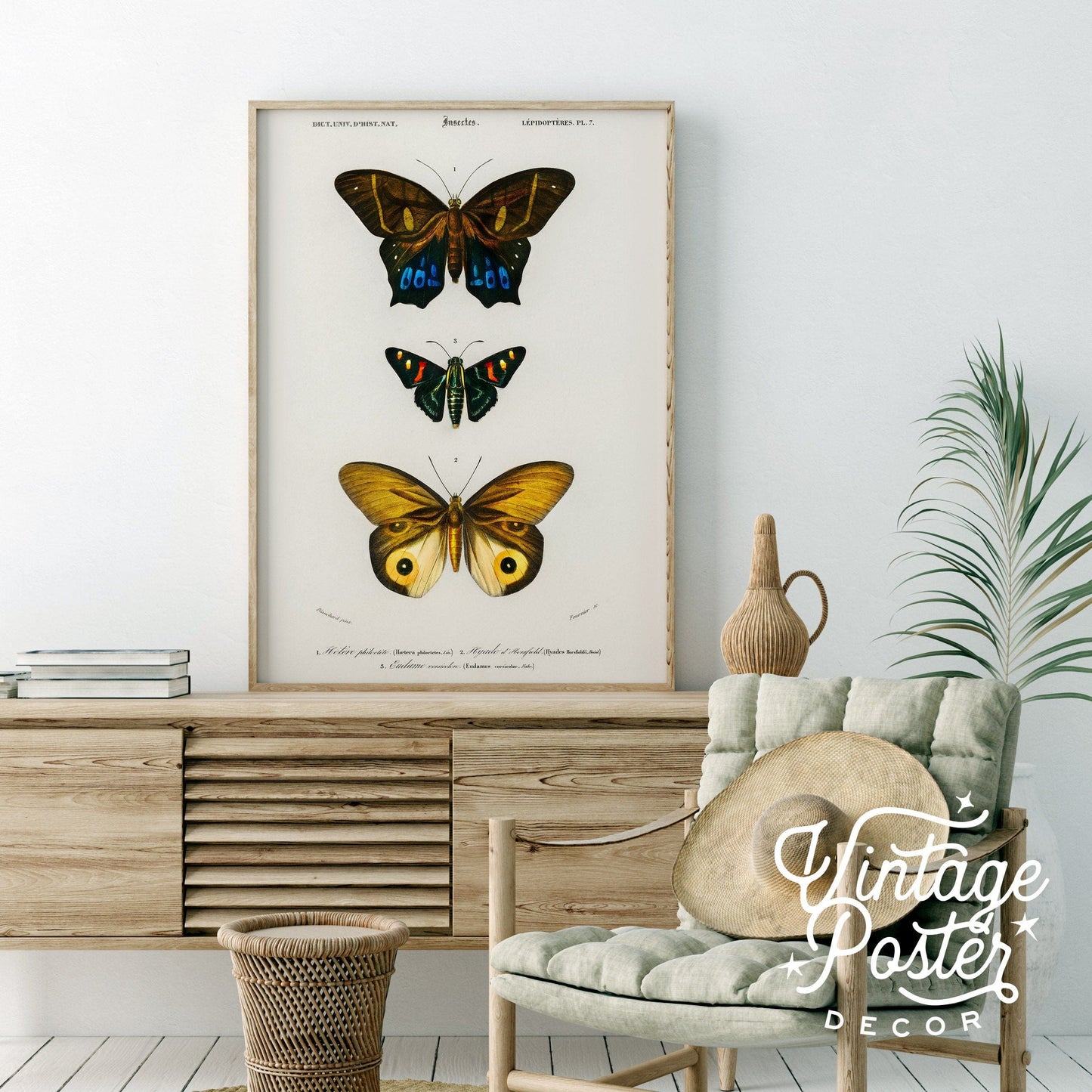 Vintage Butterfly Poster