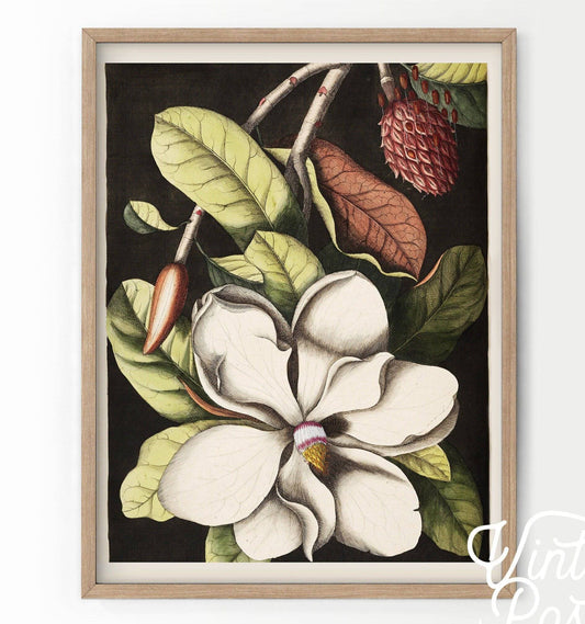 Vintage Floral Art, Antique Flower Painting