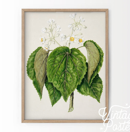 Vintage Floral Print, Botanical Wall Art 37