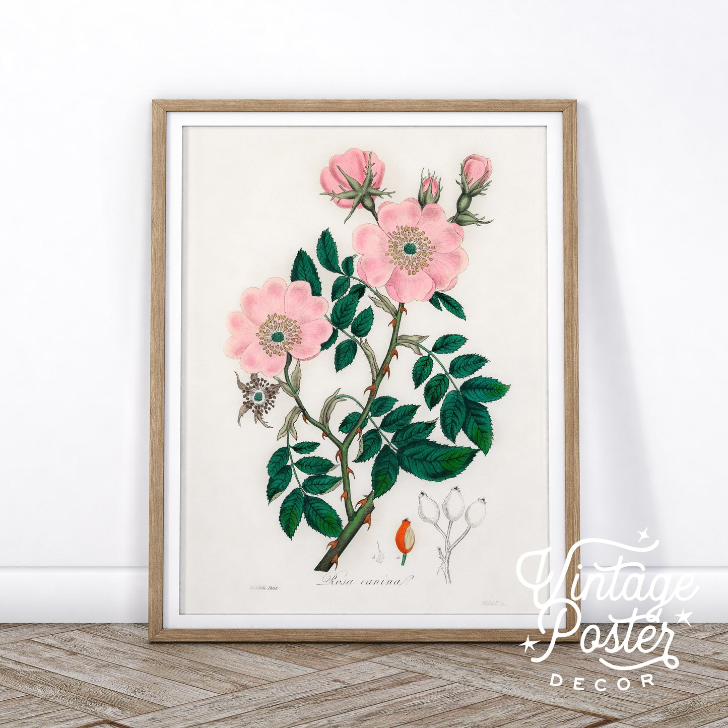 Vintage Flower Print, Botanical Wall Art 48