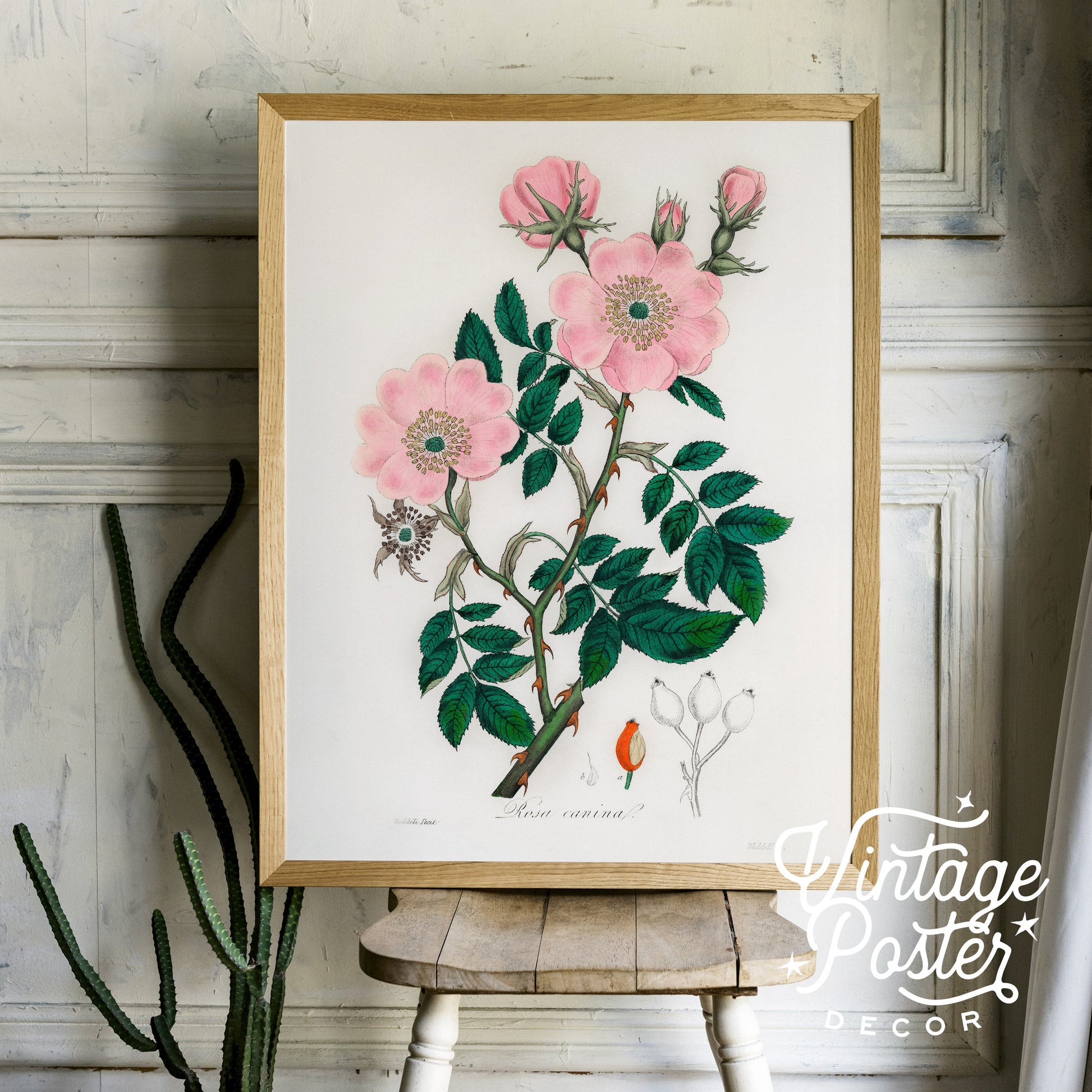 Vintage Flower Print, Botanical Wall Art 48