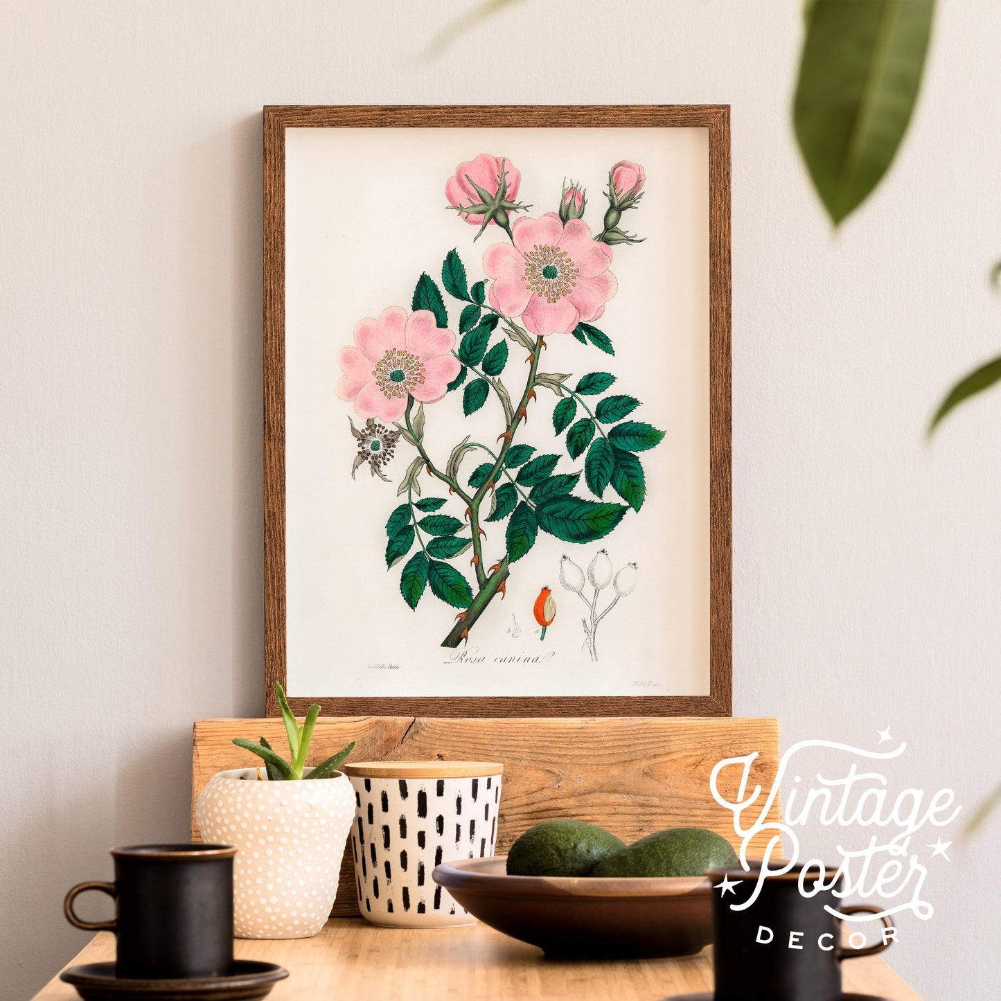 Vintage Flower Print, Botanical Wall Art 48