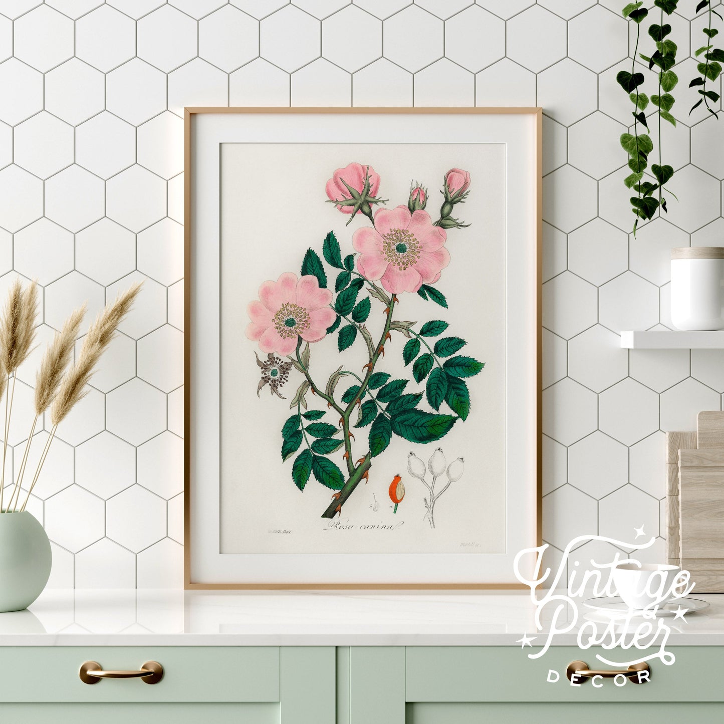 Vintage Flower Print, Botanical Wall Art 48