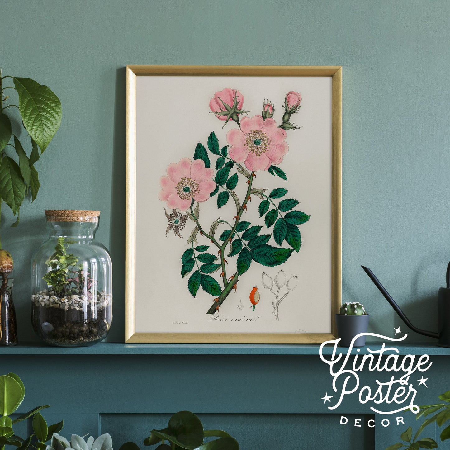 Vintage Flower Print, Botanical Wall Art 48