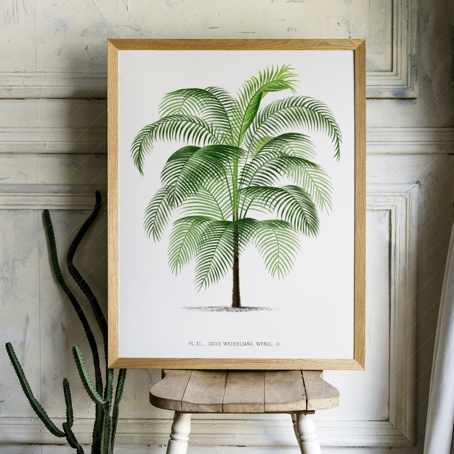 Vintage Palm Tree Poster, Antique wall decor, Botanical designs
