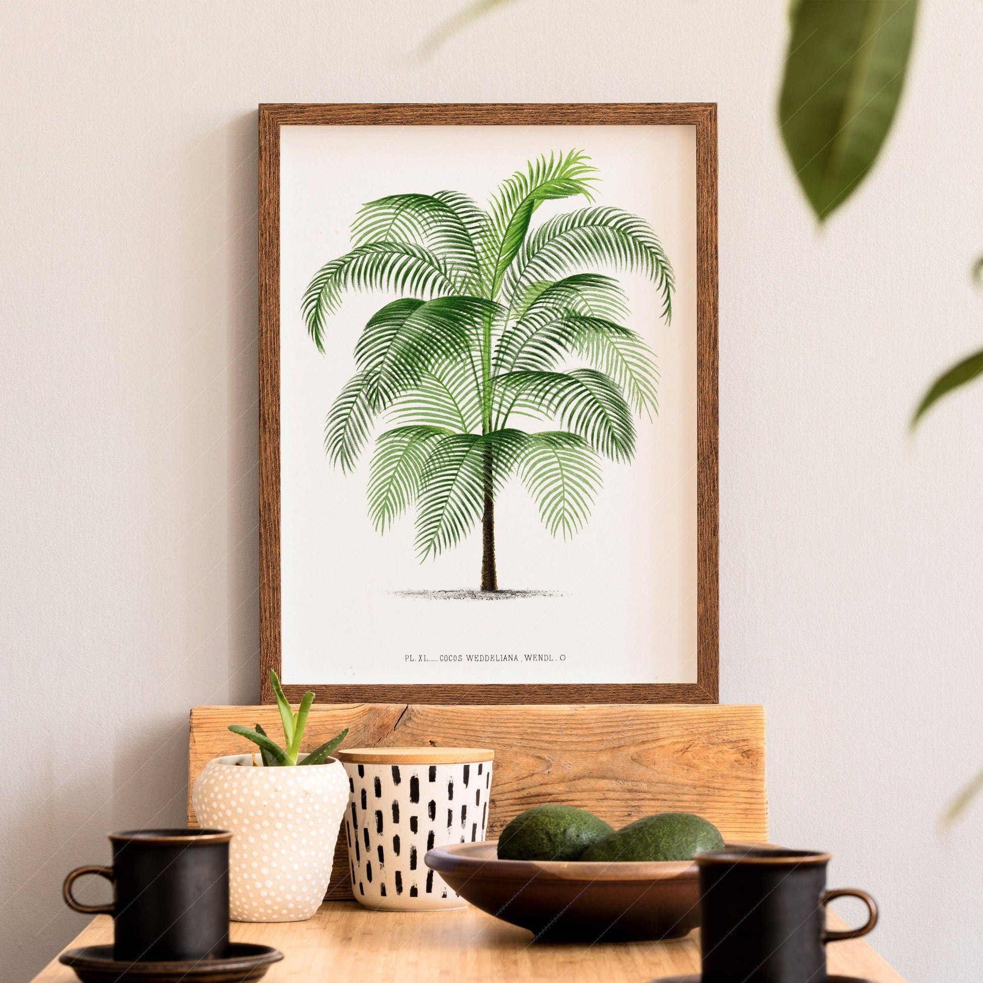Vintage Palm Tree Poster, Antique wall decor, Botanical designs