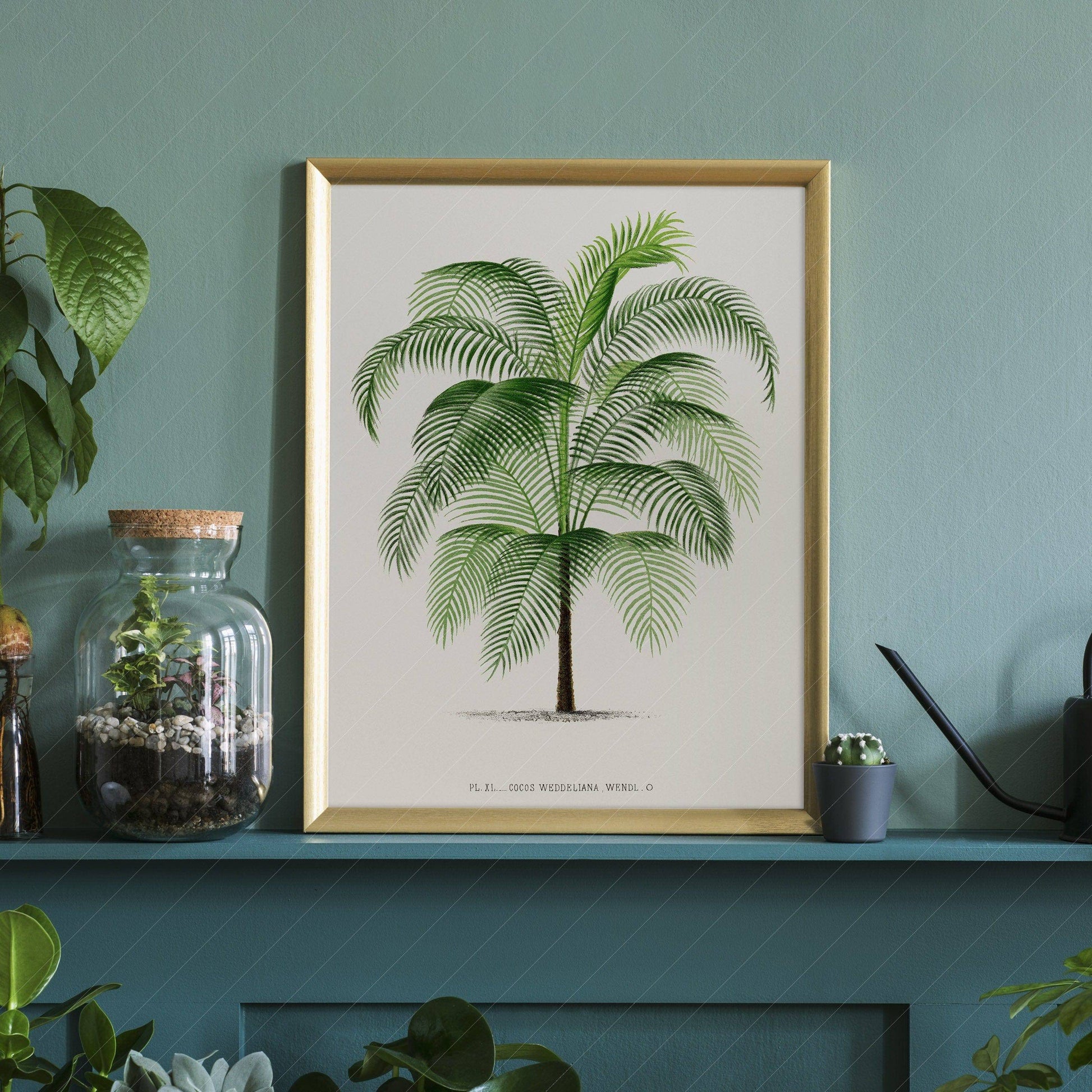 Vintage Palm Tree Poster, Antique wall decor, Botanical designs