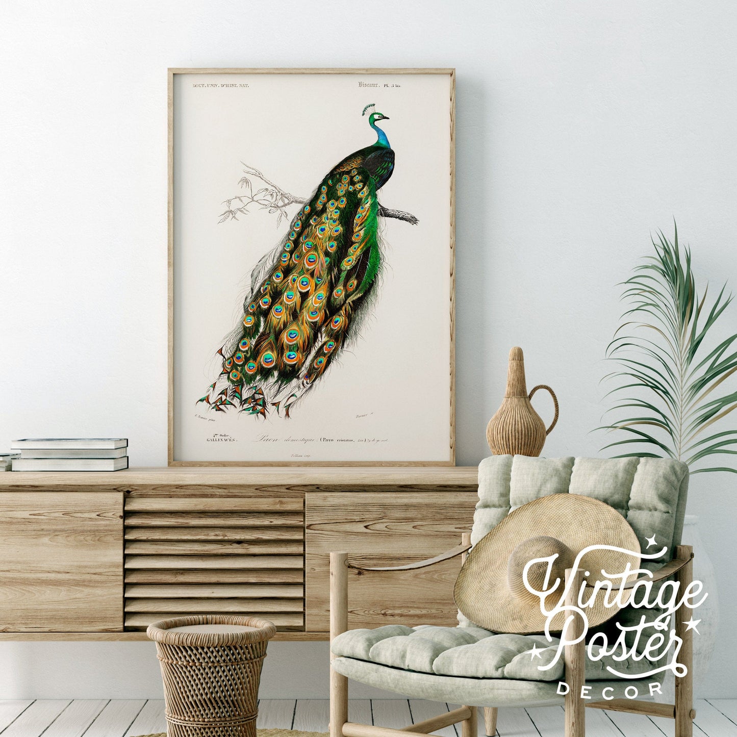 Vintage Peacock Print, Antique Birds Painting