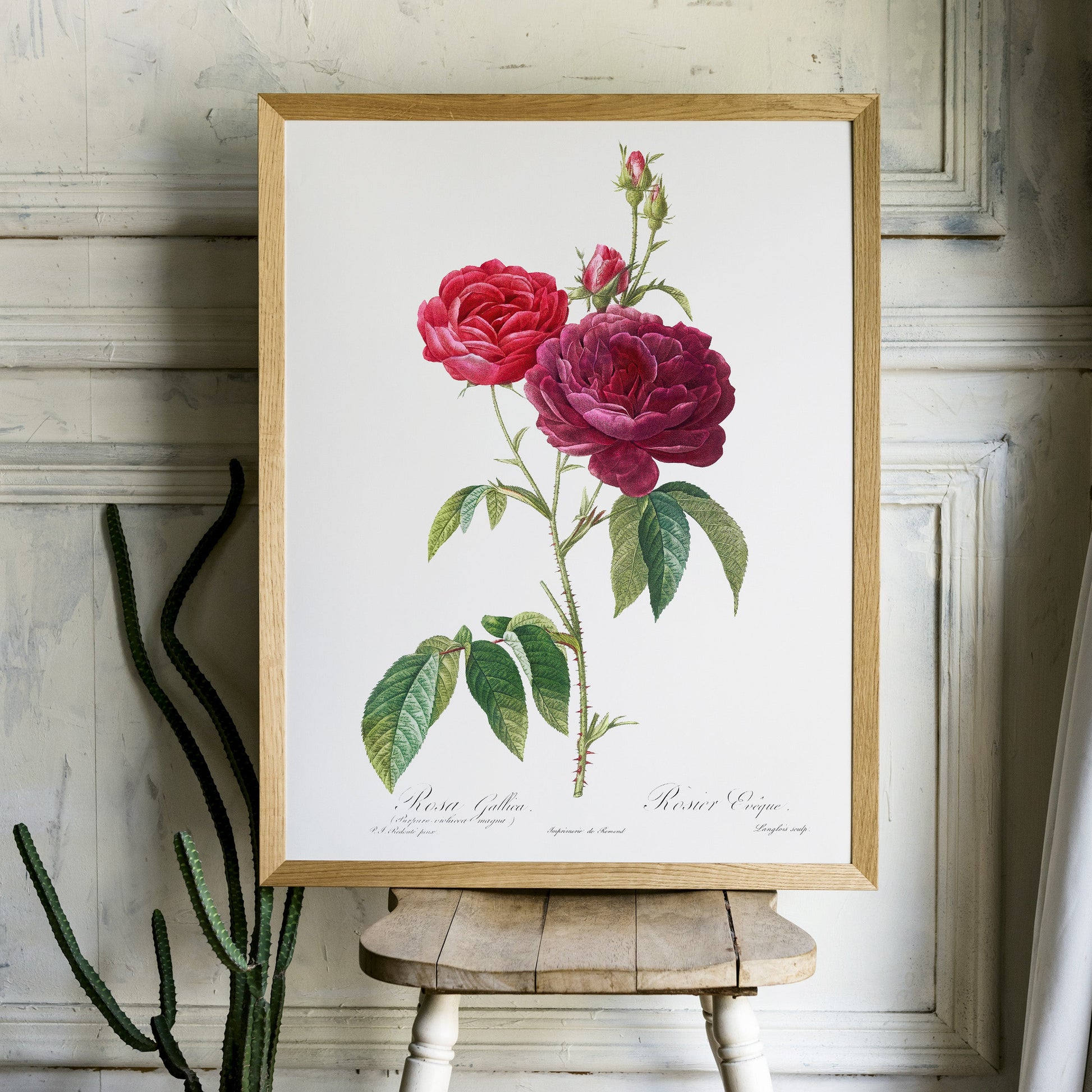 Vintage Roses Flower Print, Botanical Wall Art 04