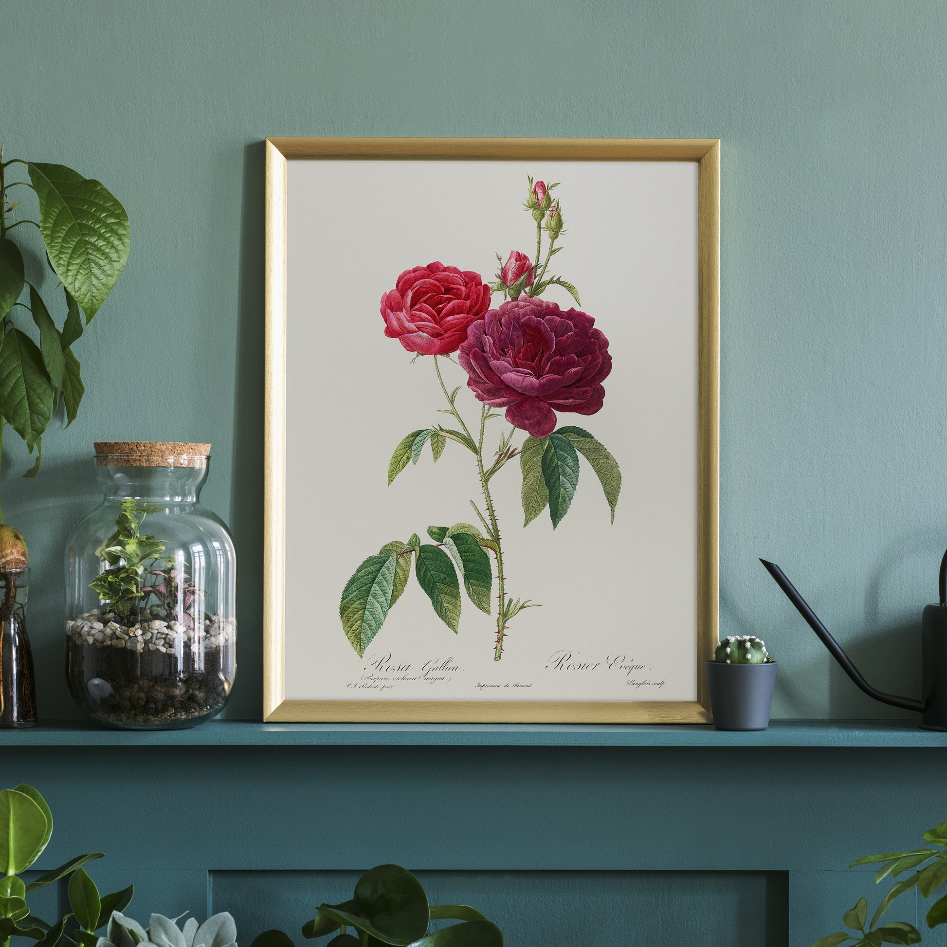 Vintage Roses Flower Print, Botanical Wall Art 04