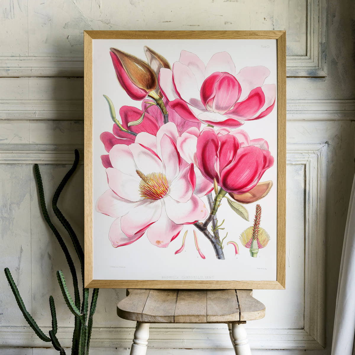 Vintage Roses Flower Print, Botanical Wall Art 06