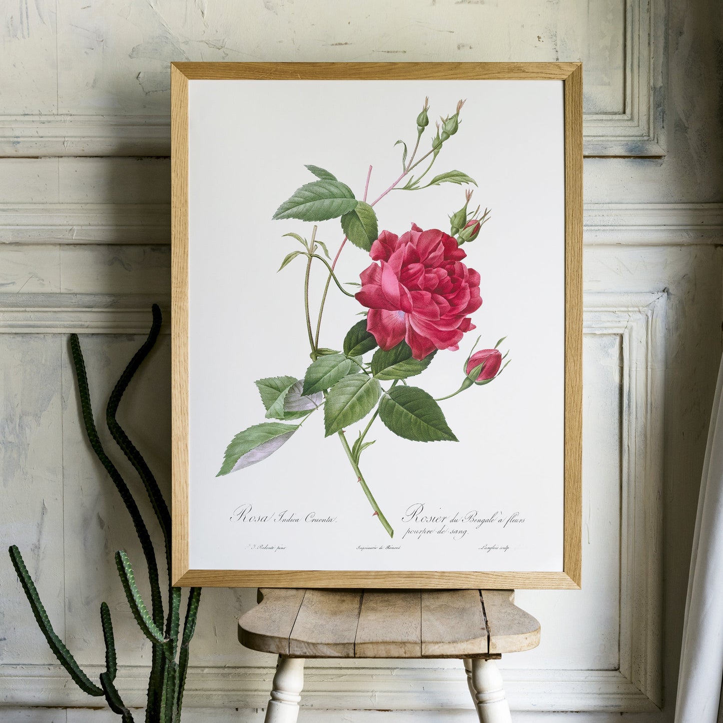 Vintage Roses Flower Print, Botanical Wall Art