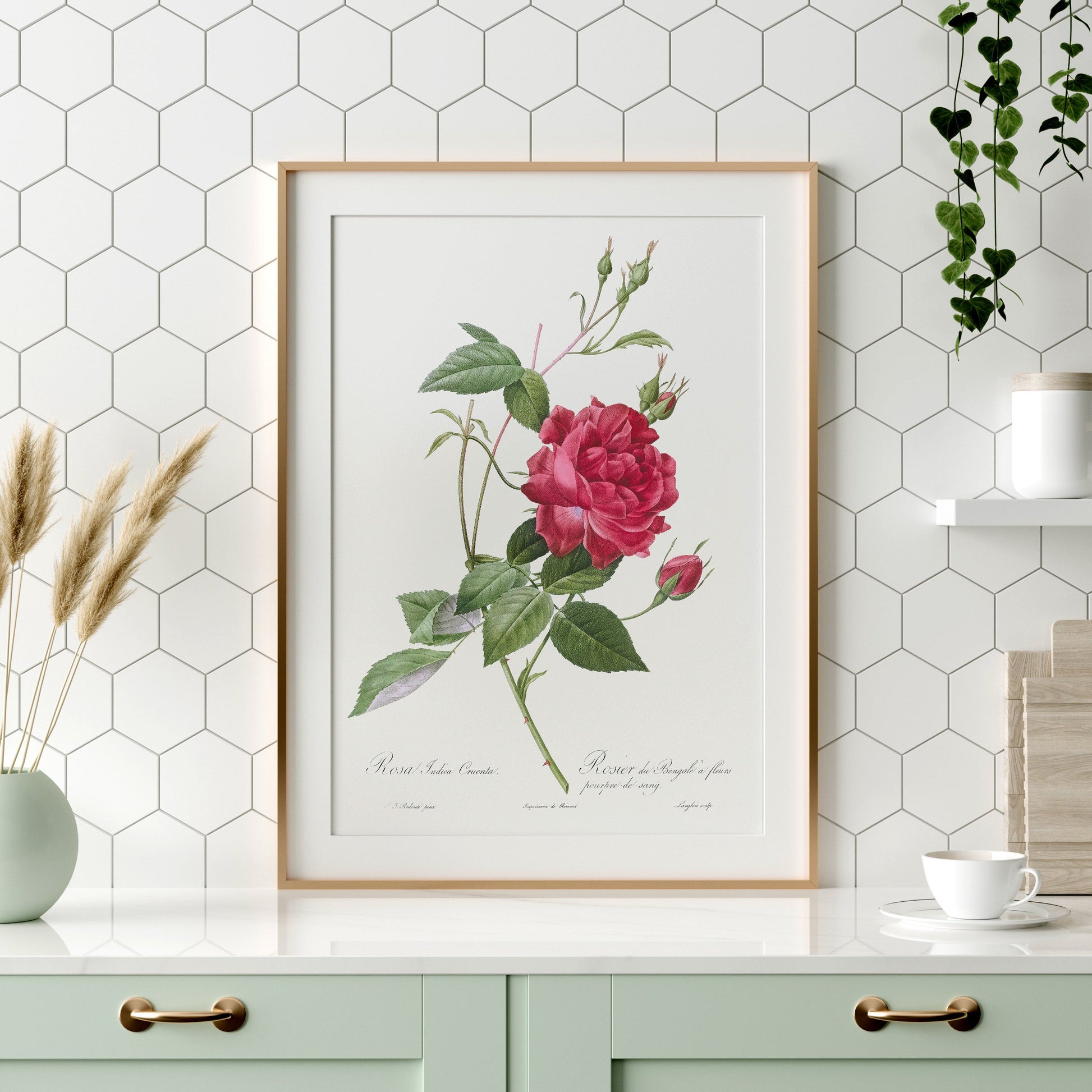 Vintage Roses Flower Print, Botanical Wall Art