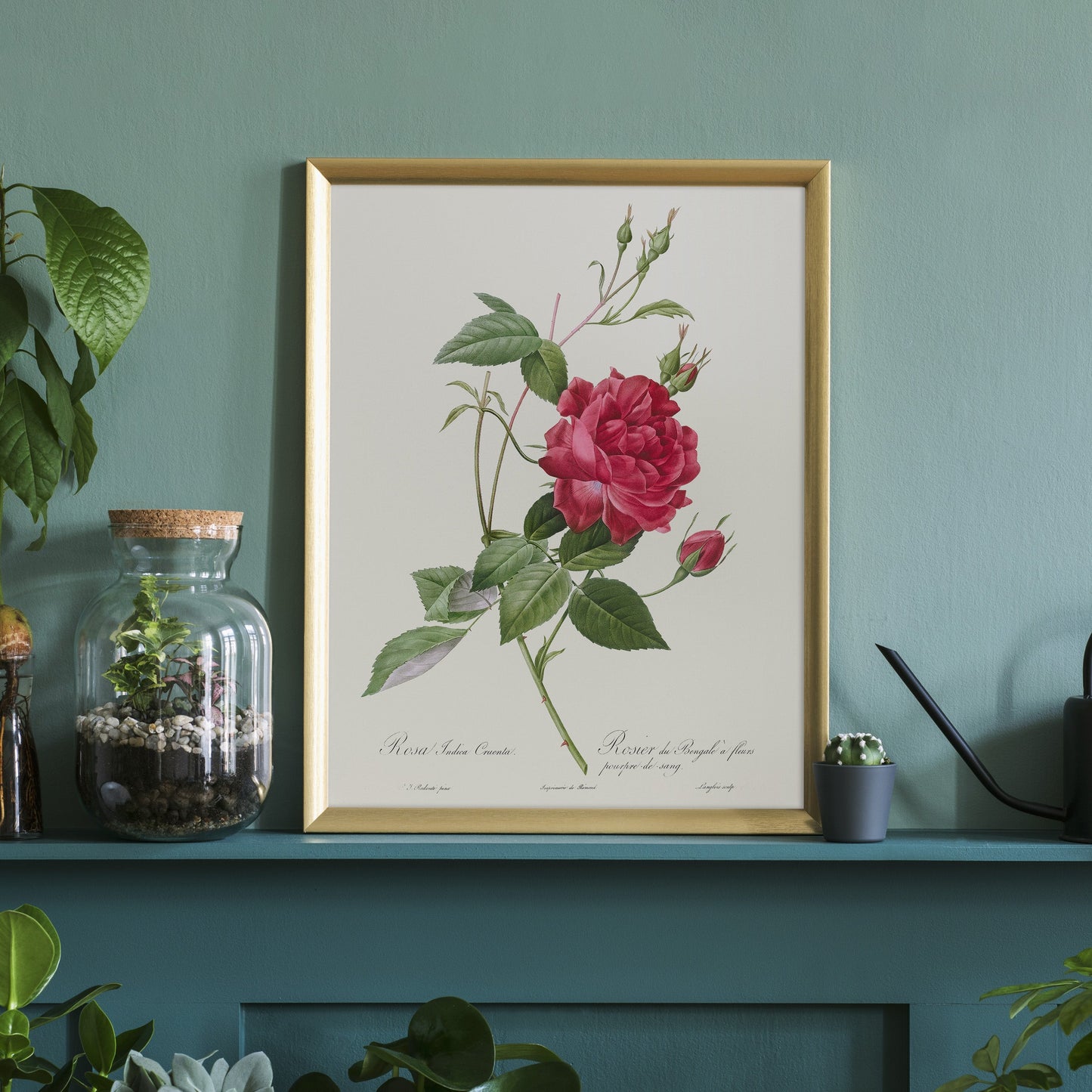 Vintage Roses Flower Print, Botanical Wall Art