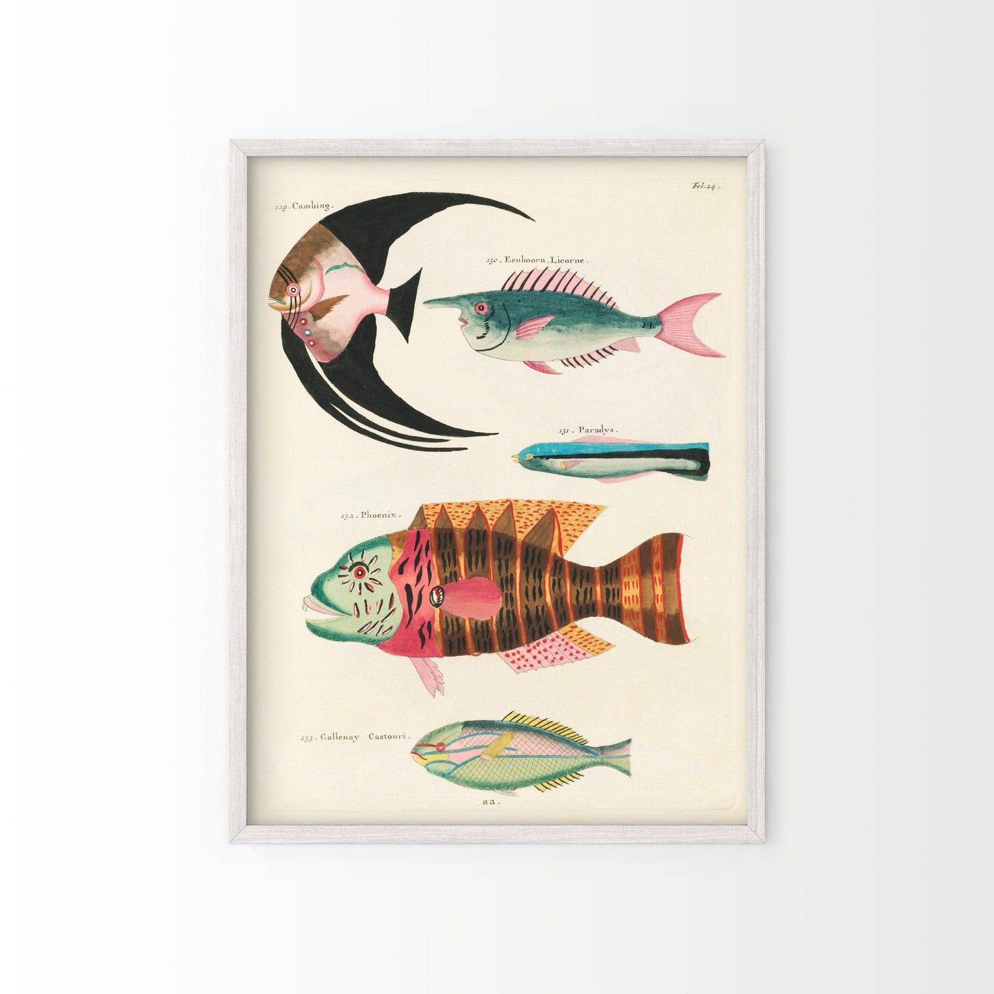 Vintage Under the Sea Poster, Coastal Wall Art, Fish Print