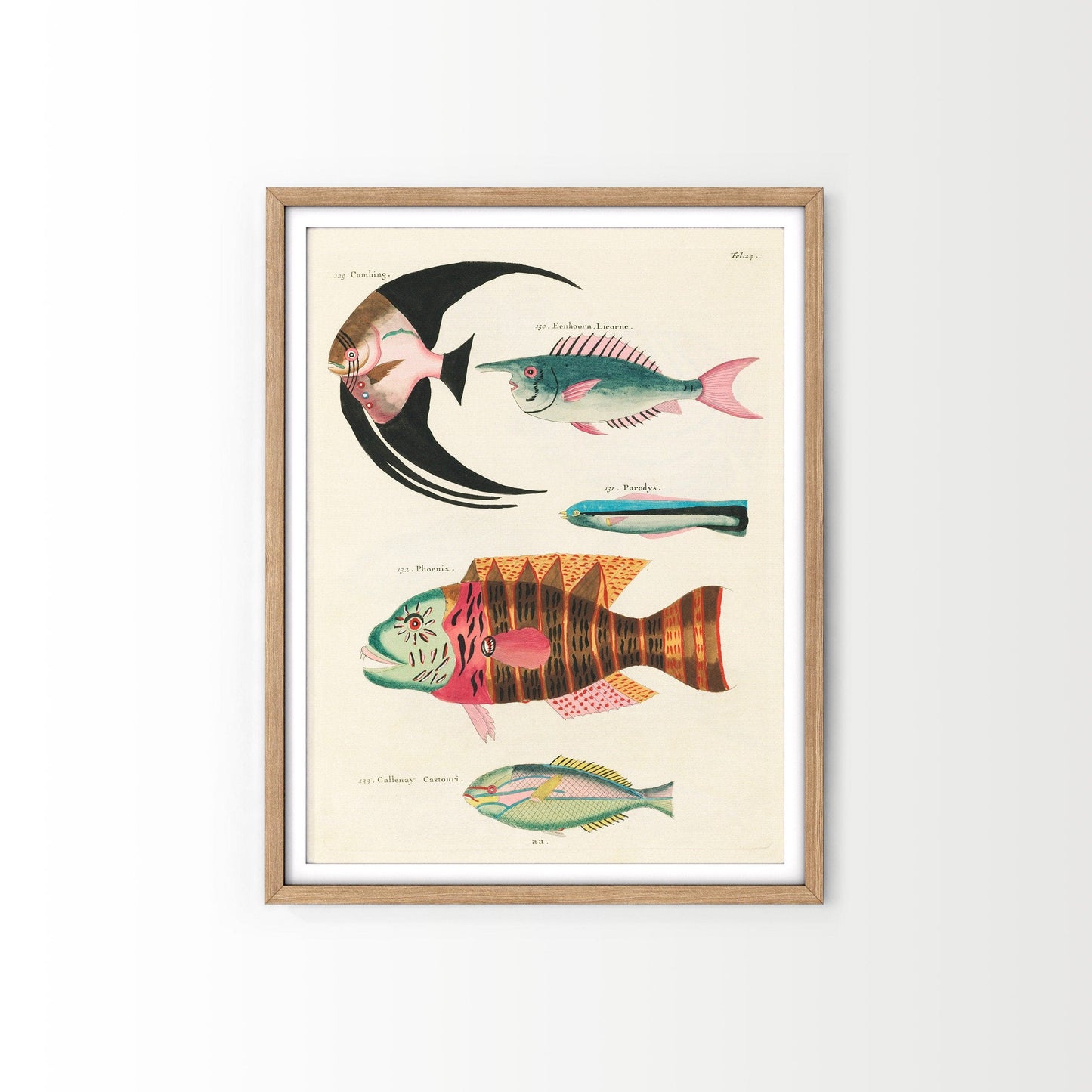 Vintage Under the Sea Poster, Coastal Wall Art, Fish Print