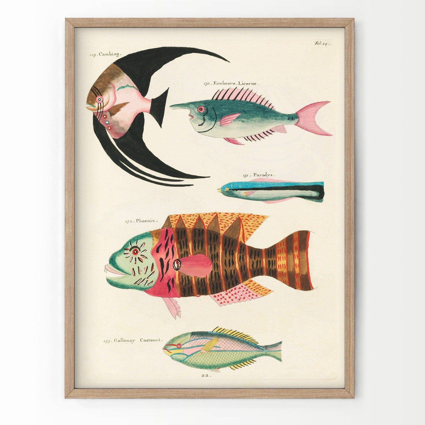 Vintage Under the Sea Poster, Coastal Wall Art, Fish Print