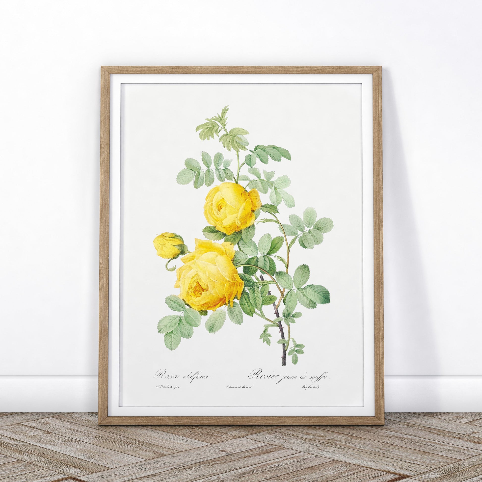 Vintage Yellow Roses Flower Print, Botanical Wall Art 03