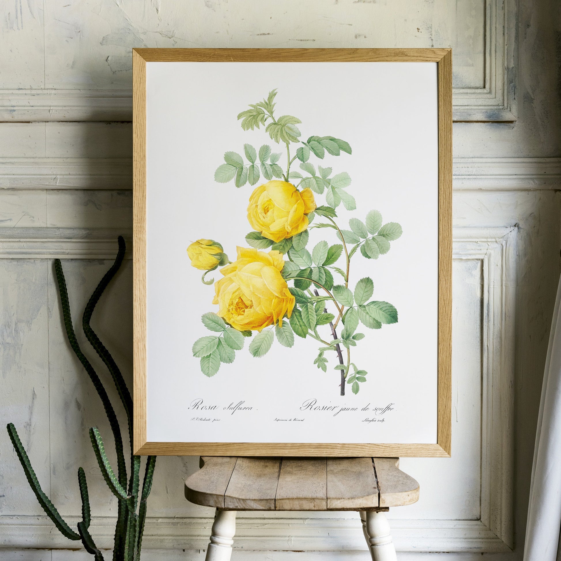 Vintage Yellow Roses Flower Print, Botanical Wall Art 03